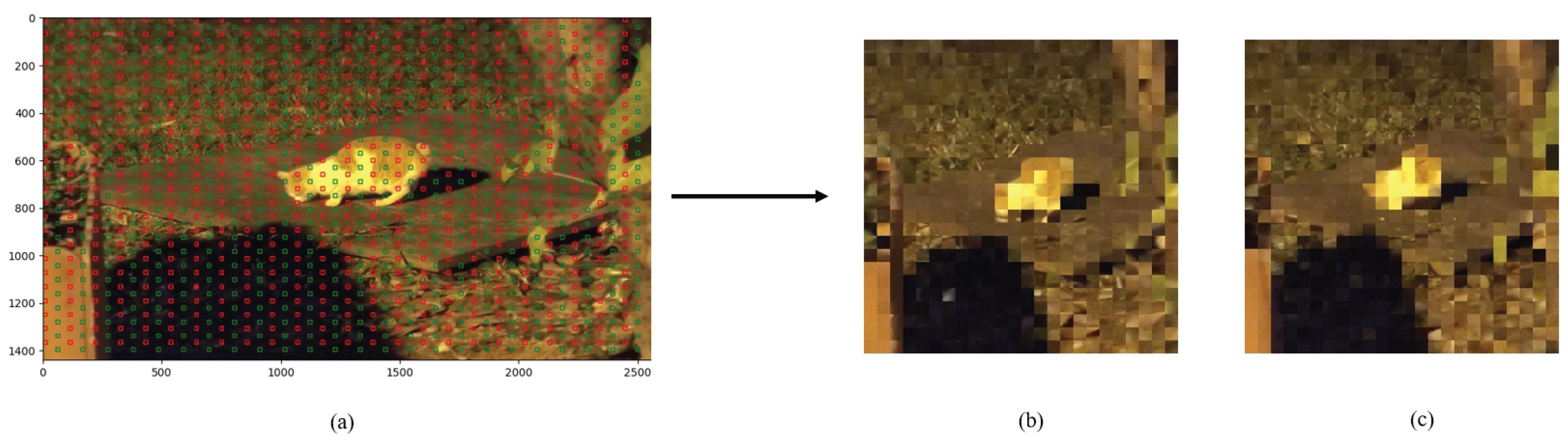 Preprints 166904 g003