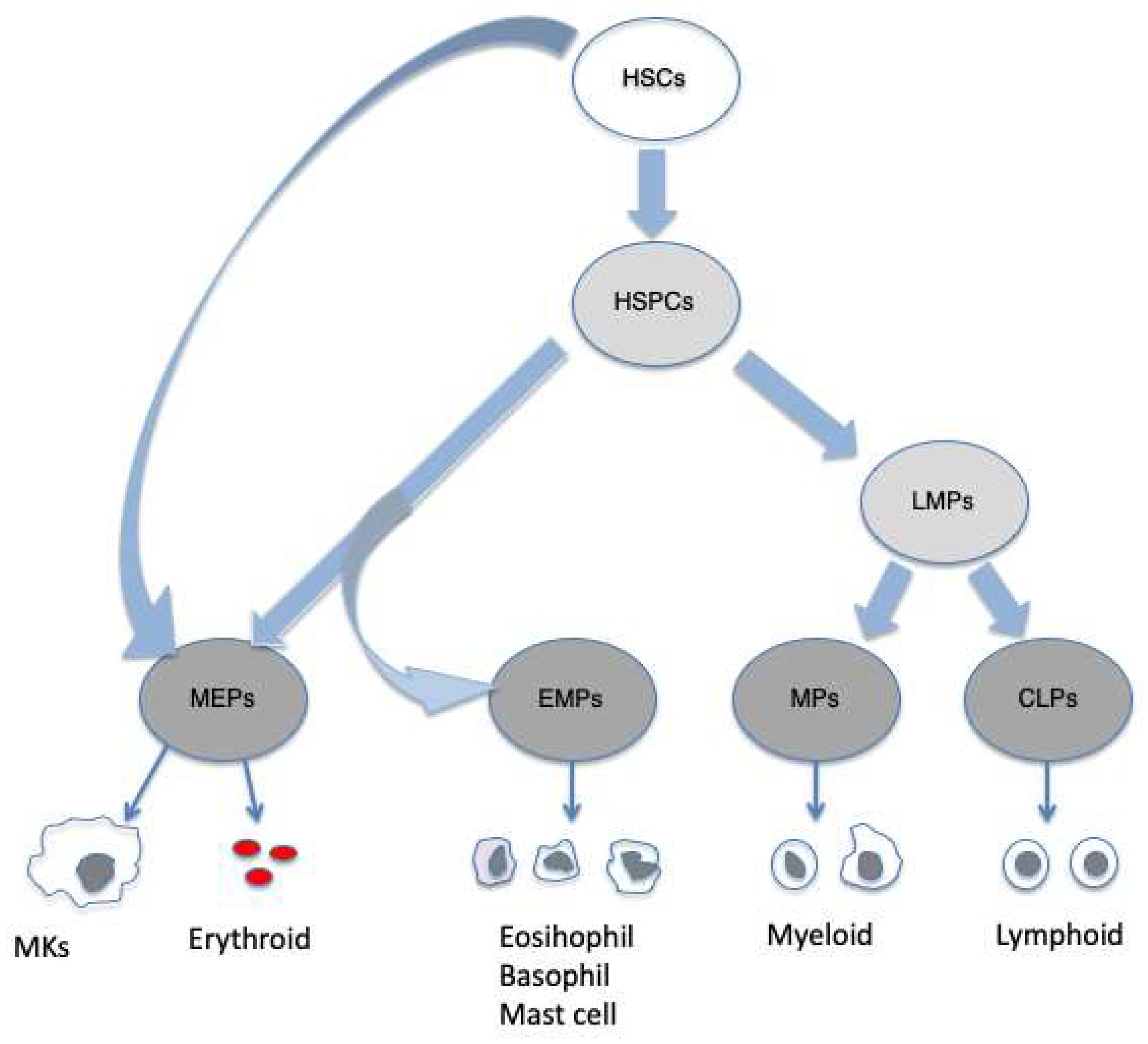 Preprints 148672 g001