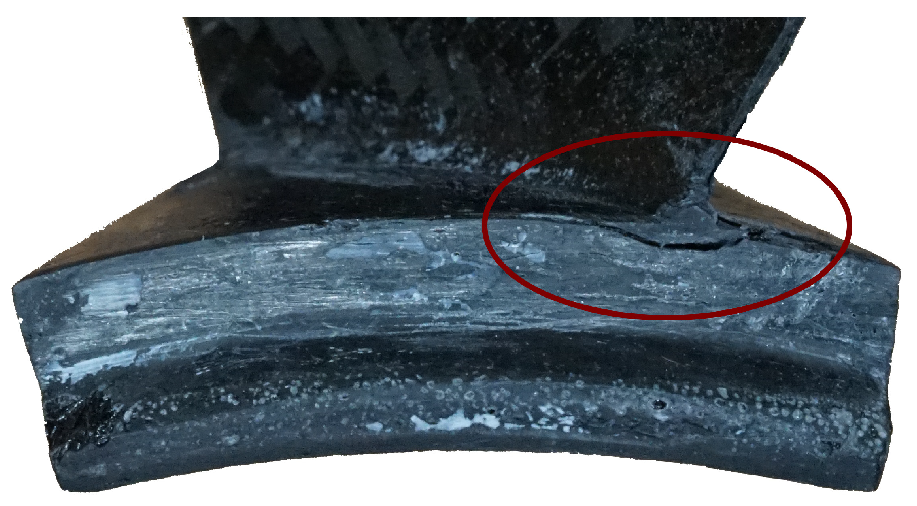 Preprints 108769 g007