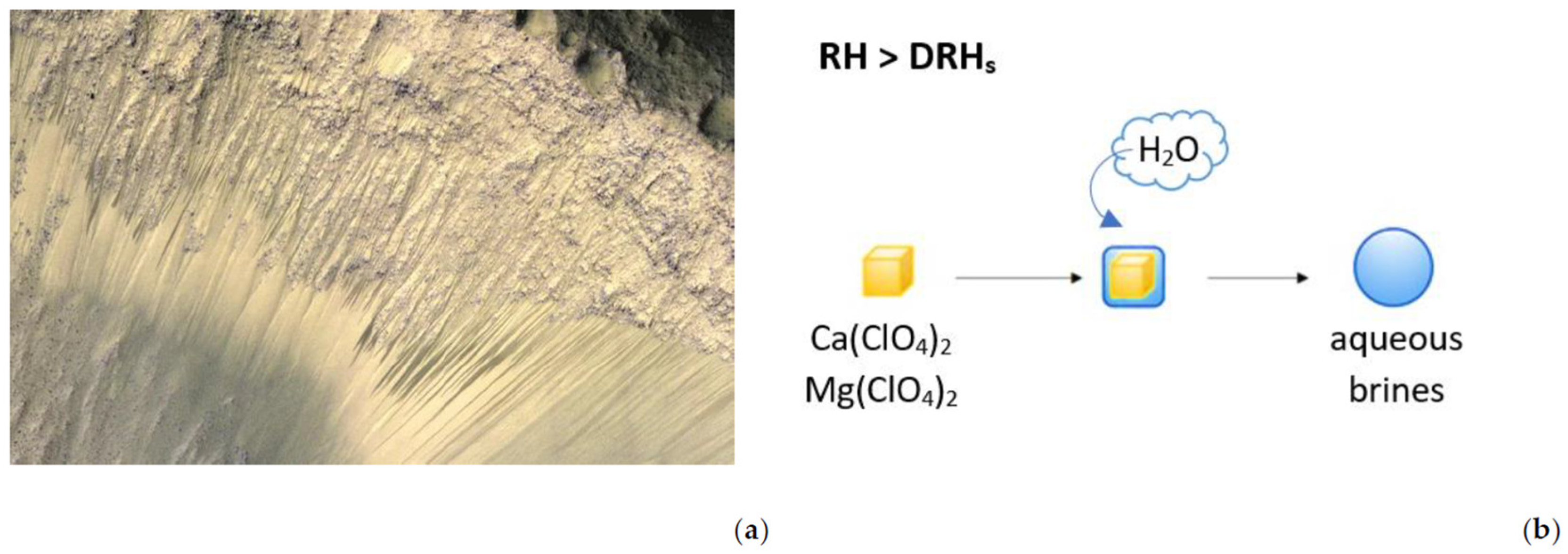 Preprints 154327 g001