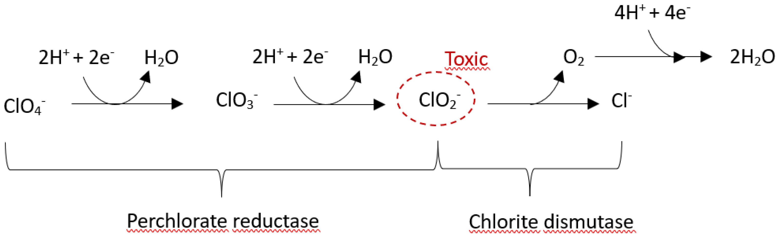 Preprints 154327 g002