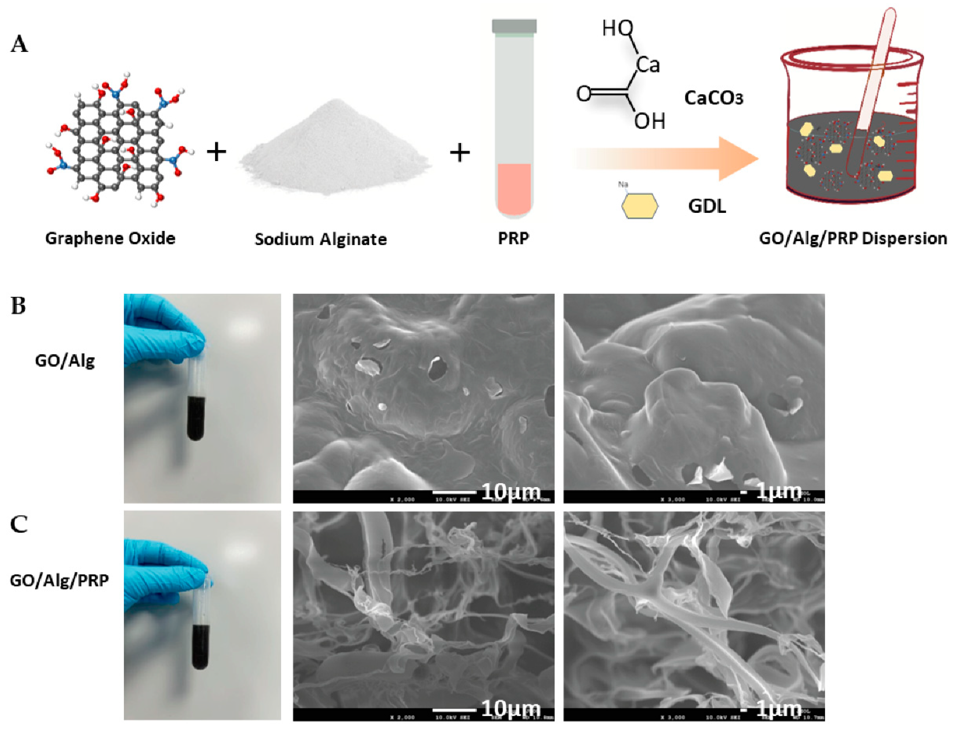 Preprints 146177 g001