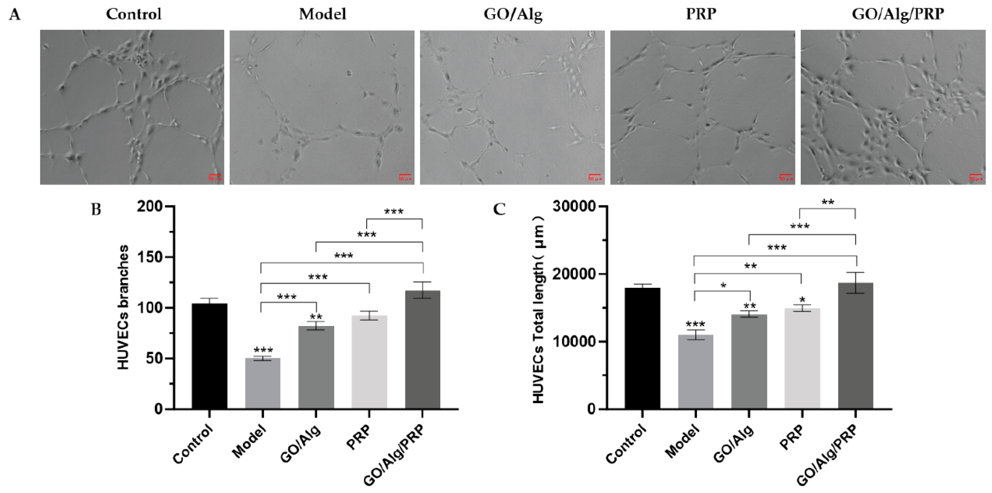 Preprints 146177 g004