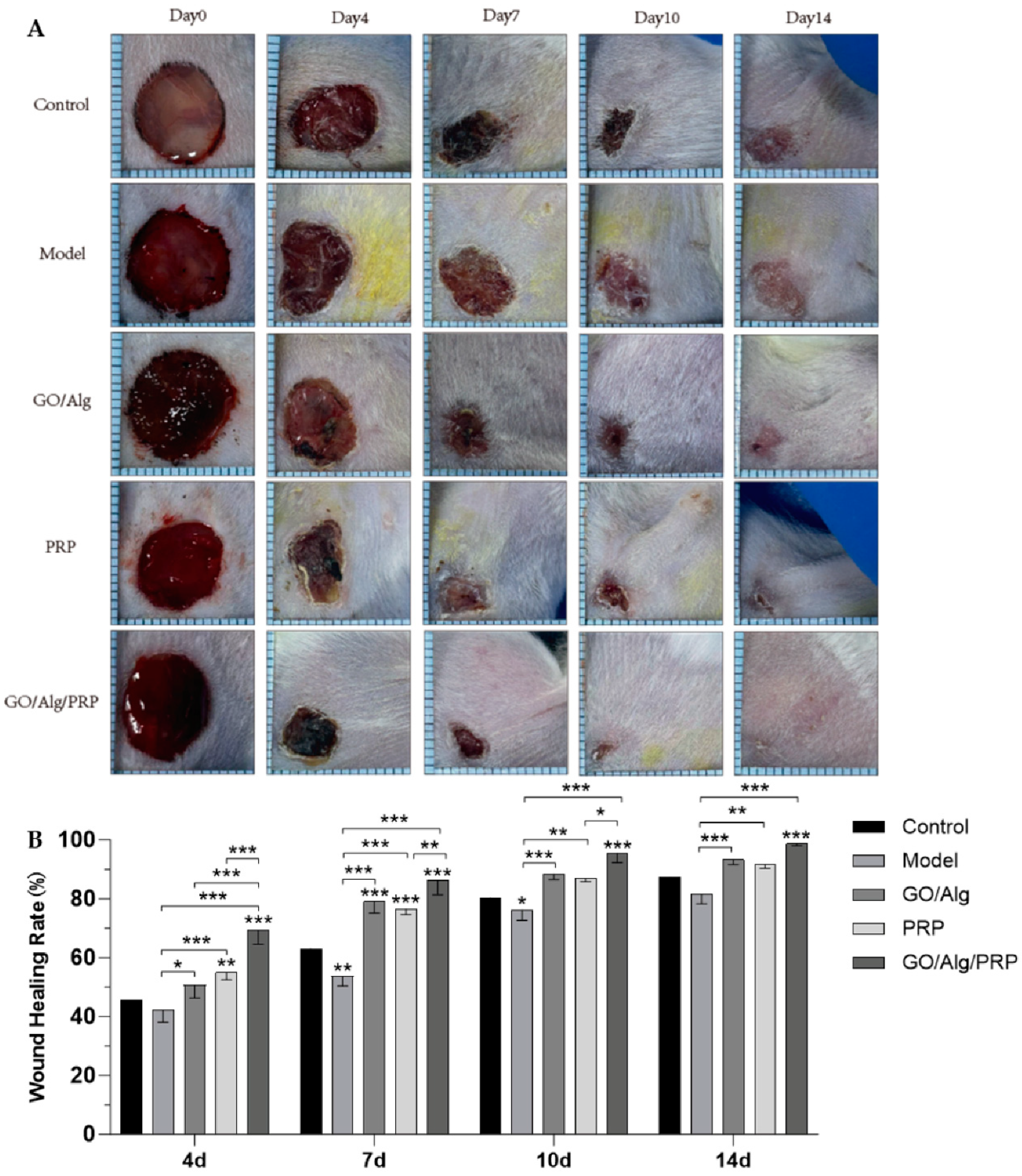 Preprints 146177 g007