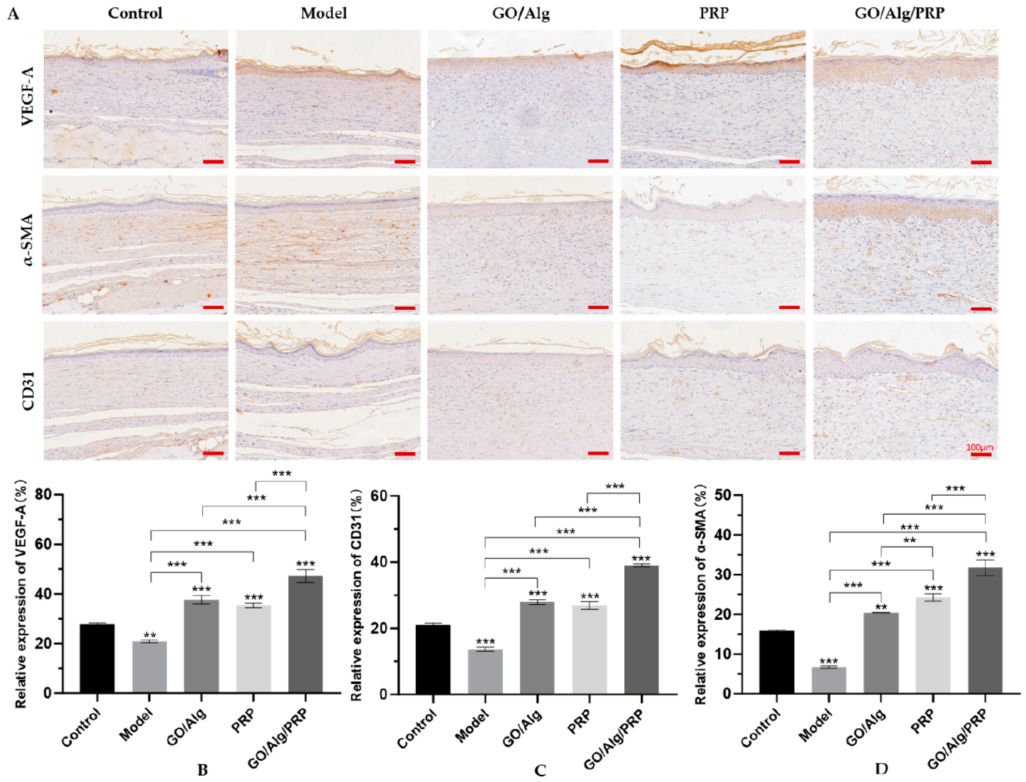 Preprints 146177 g009