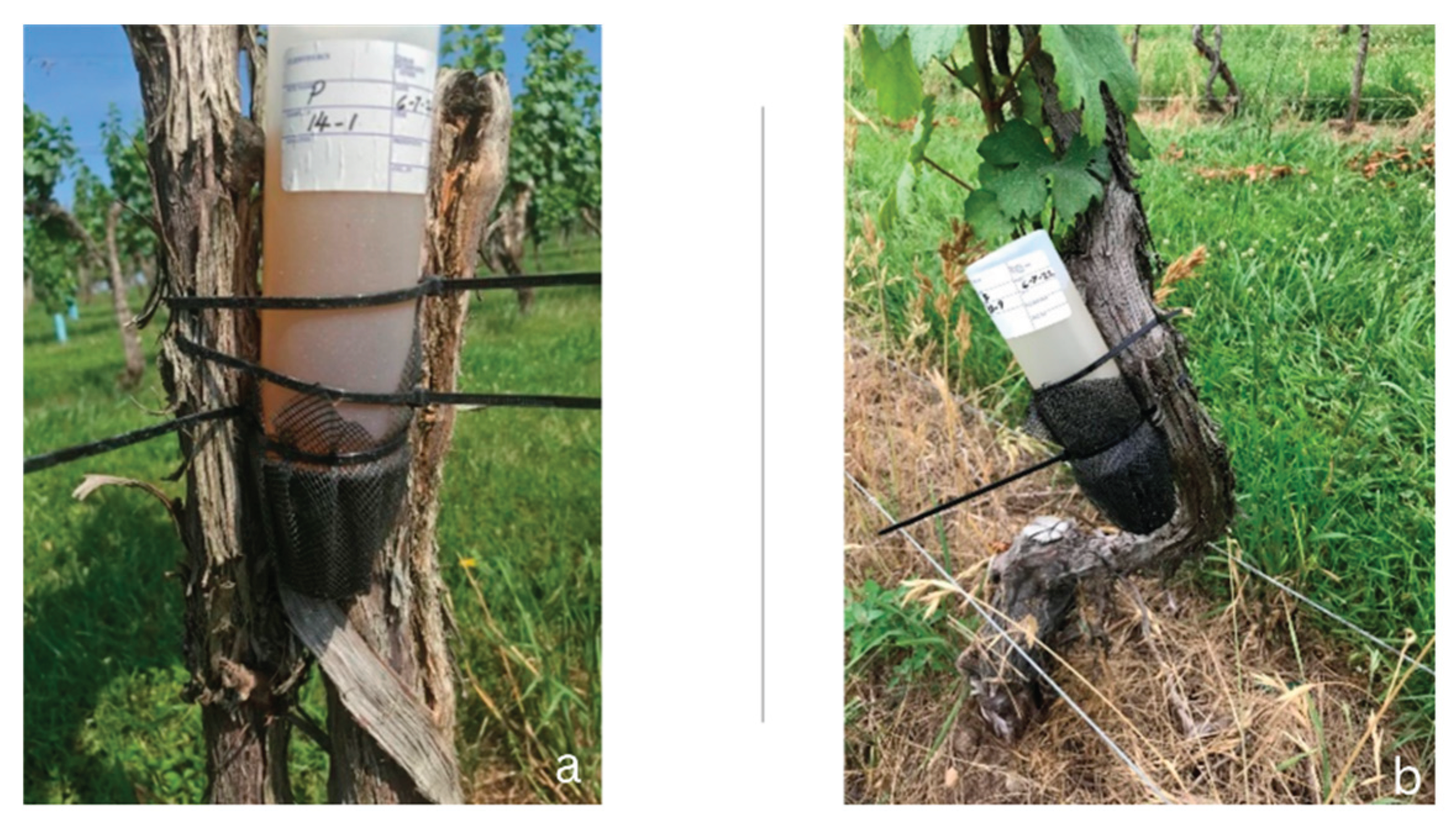 Preprints 200228 g001