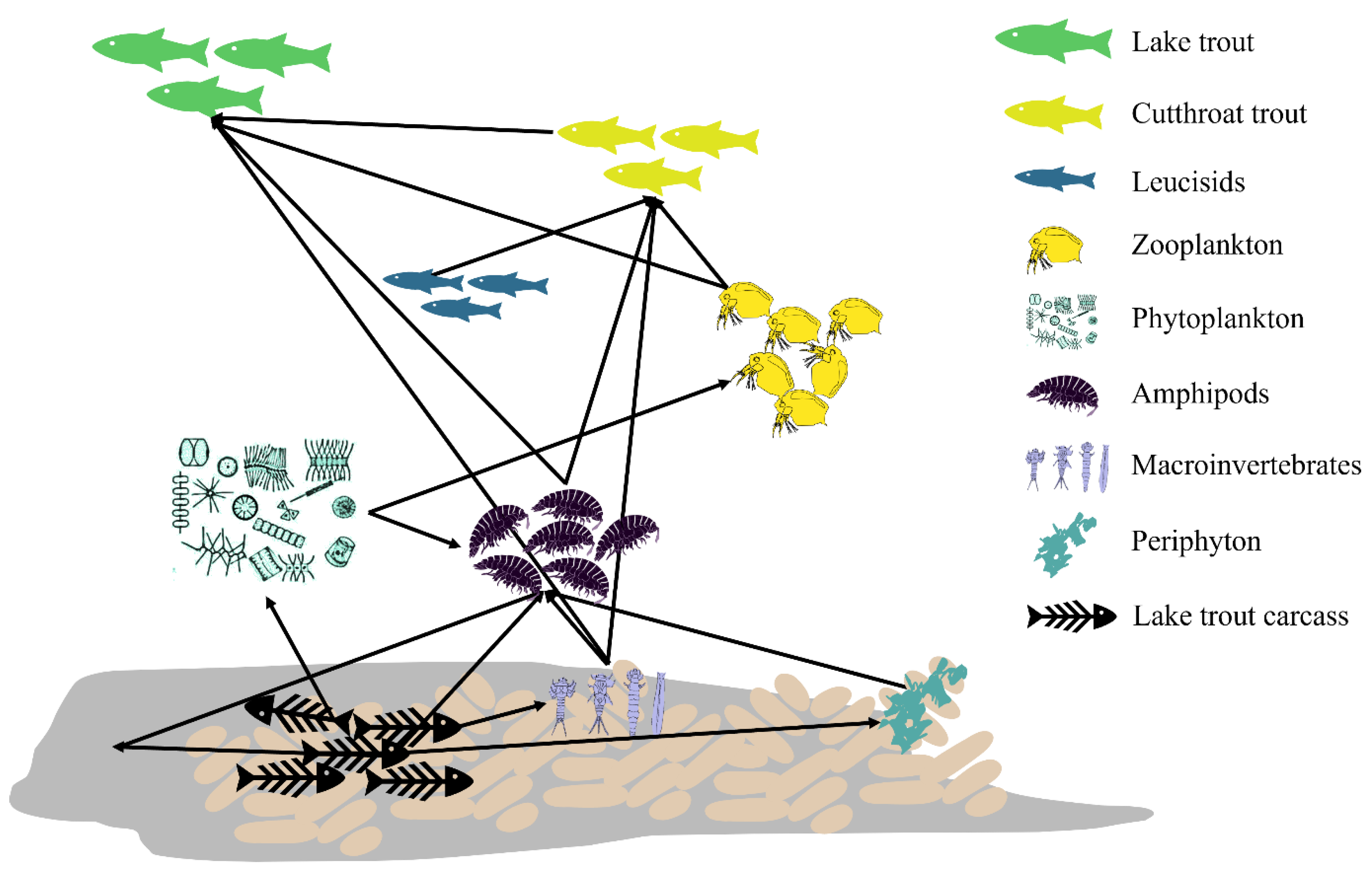 Preprints 222141 g002