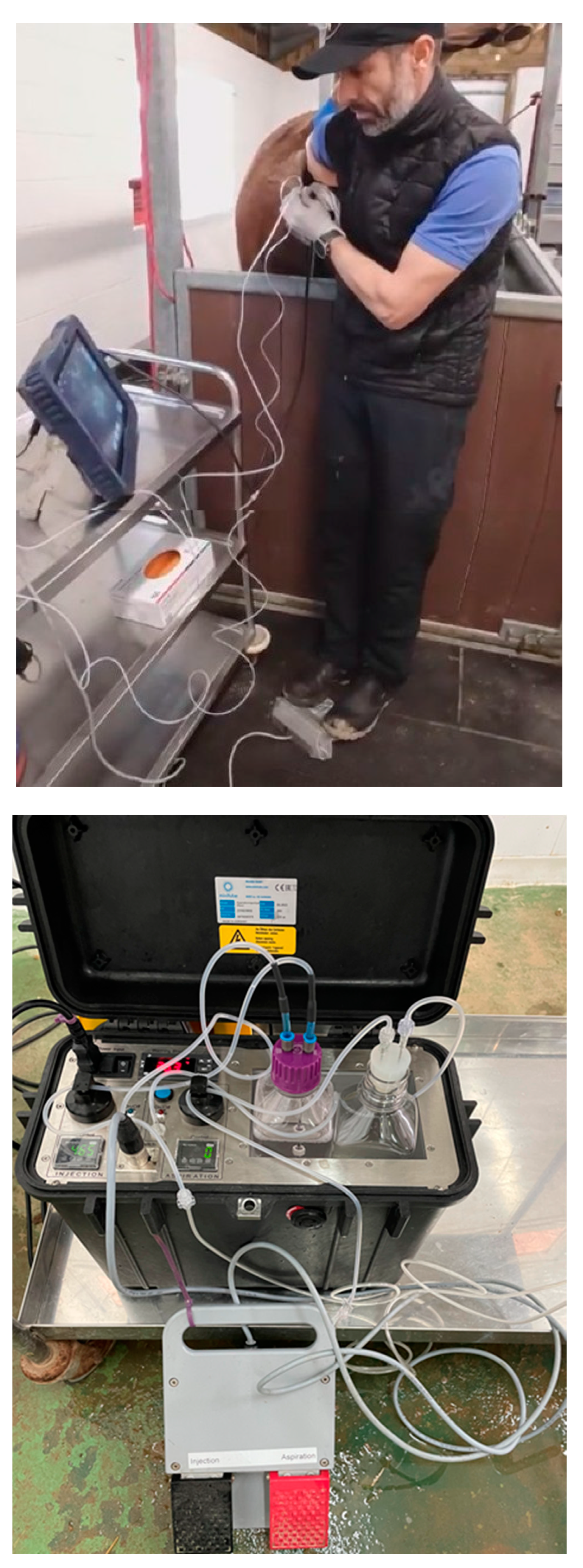 Preprints 149780 g001