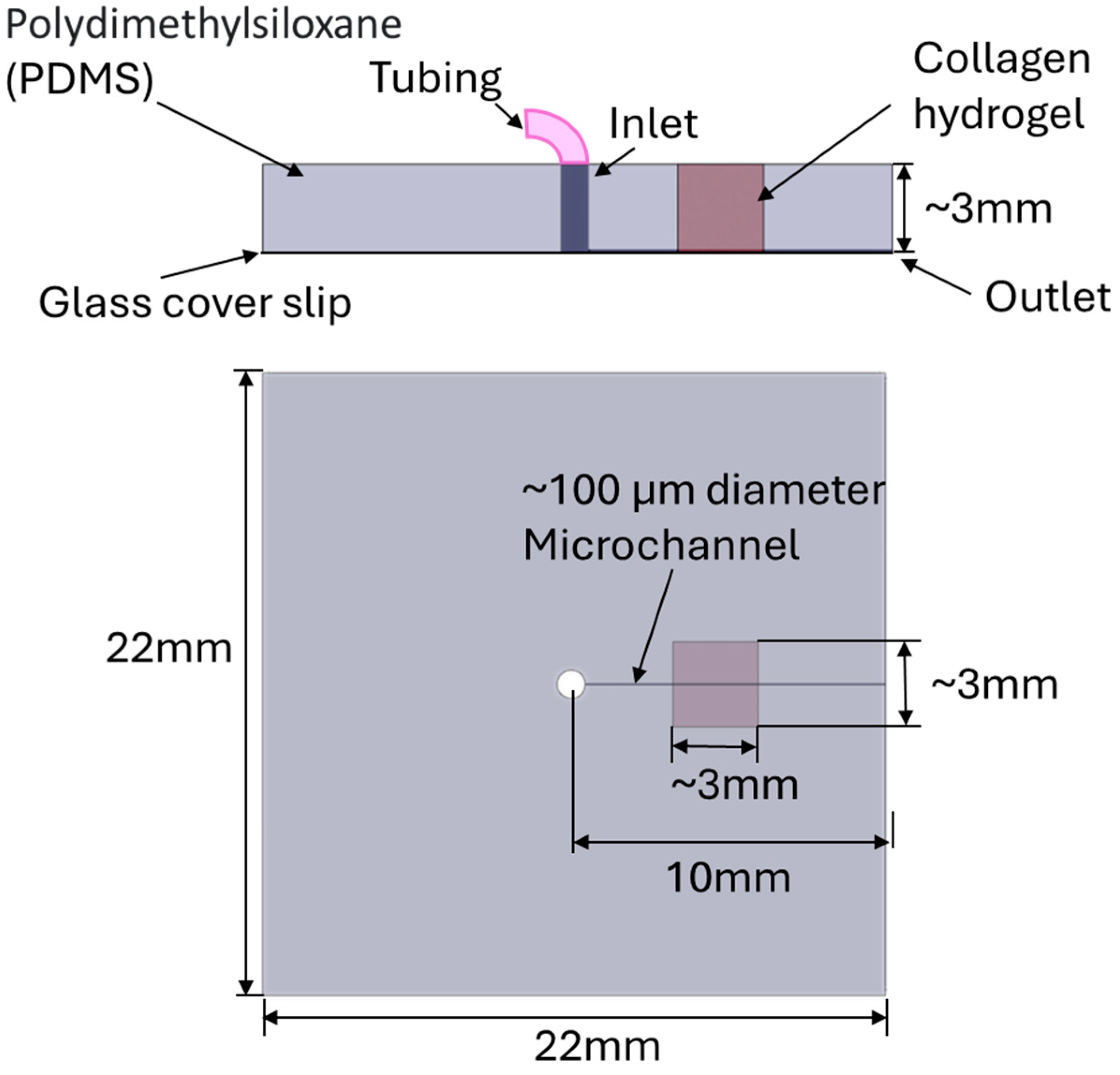 Preprints 145384 g001