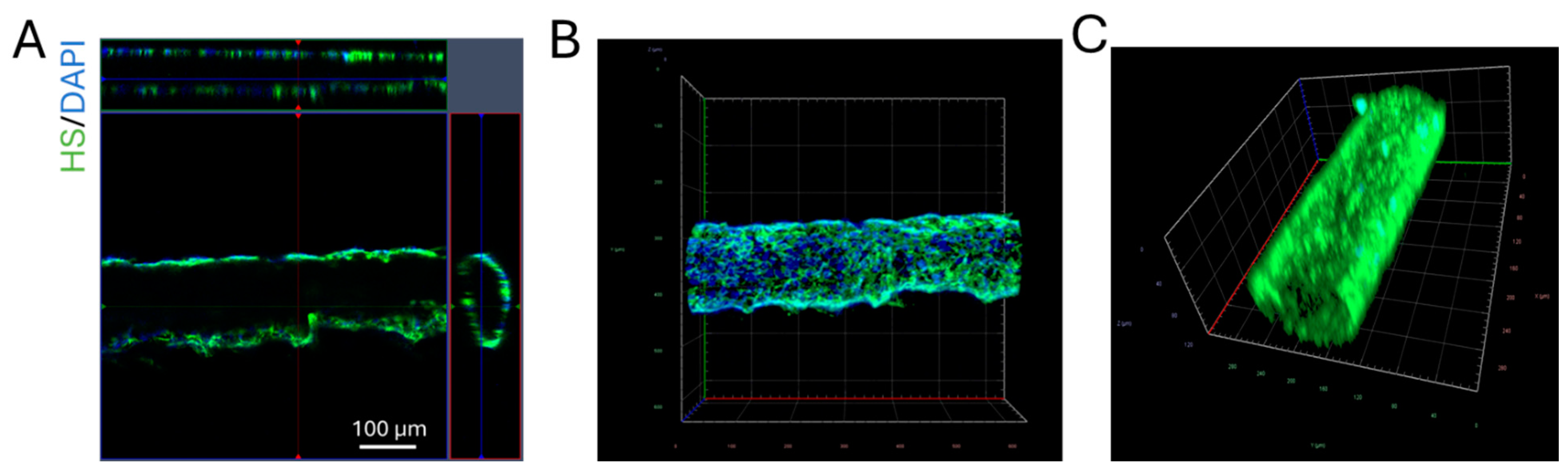 Preprints 145384 g003