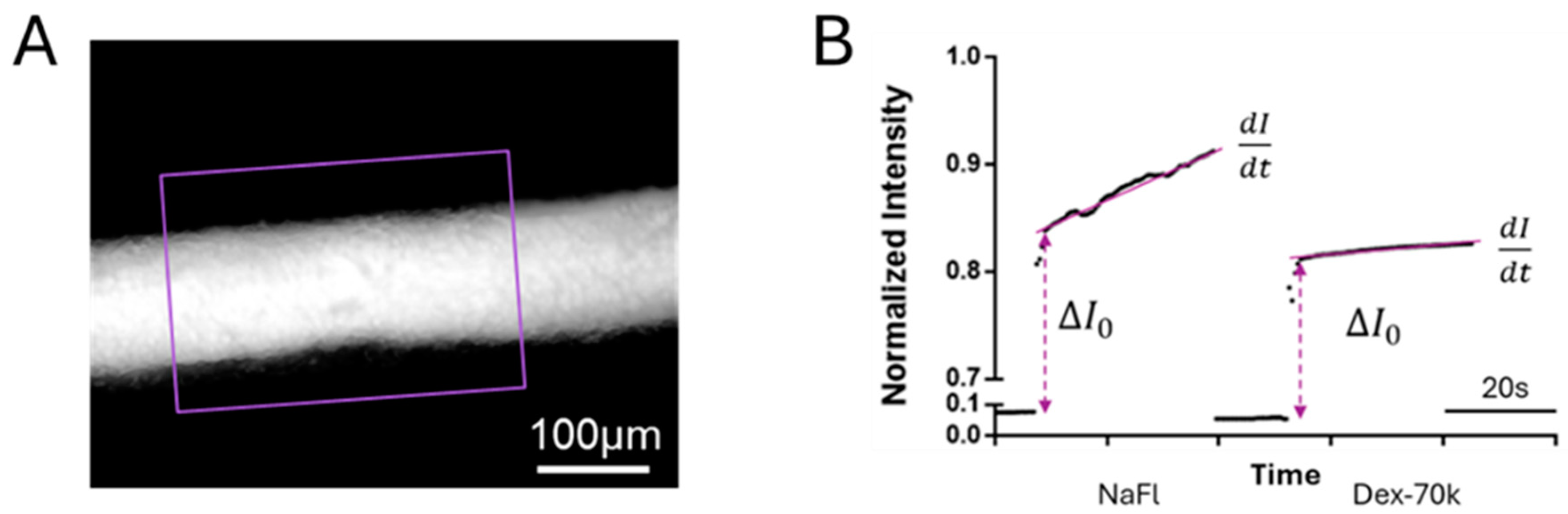 Preprints 145384 g004