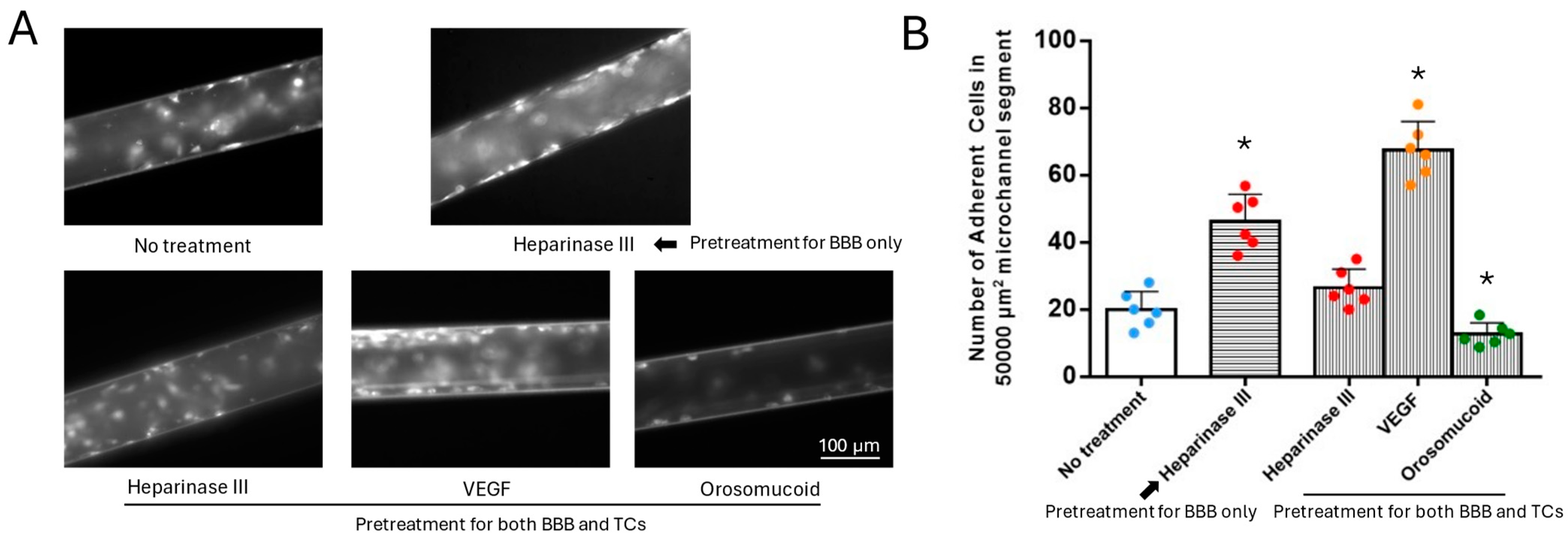 Preprints 145384 g009