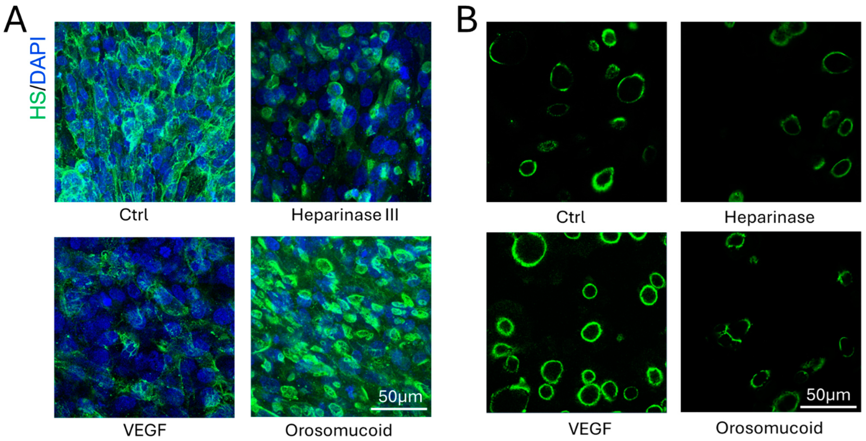 Preprints 145384 g0a2