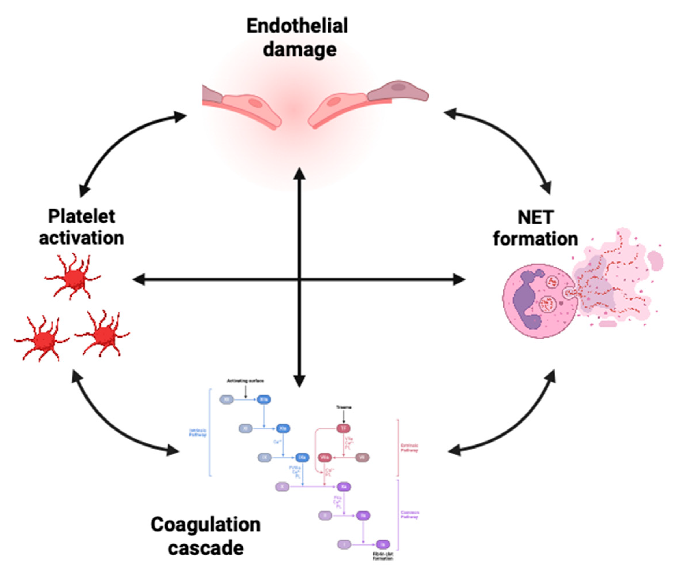 Preprints 157076 g001