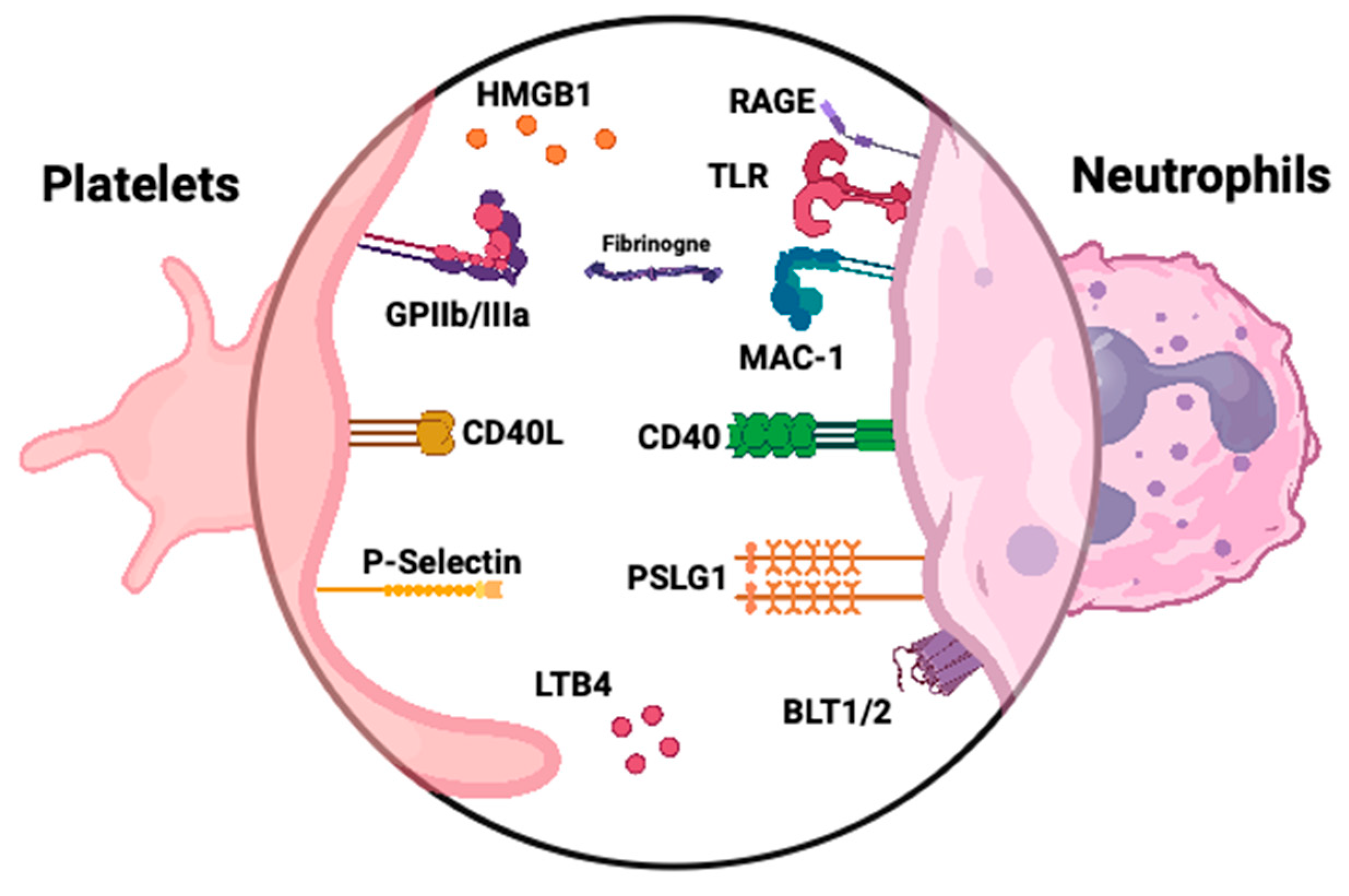 Preprints 157076 g002