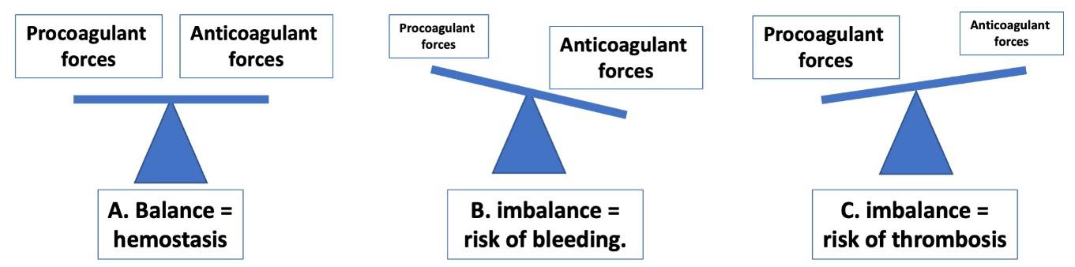 Preprints 121025 g002