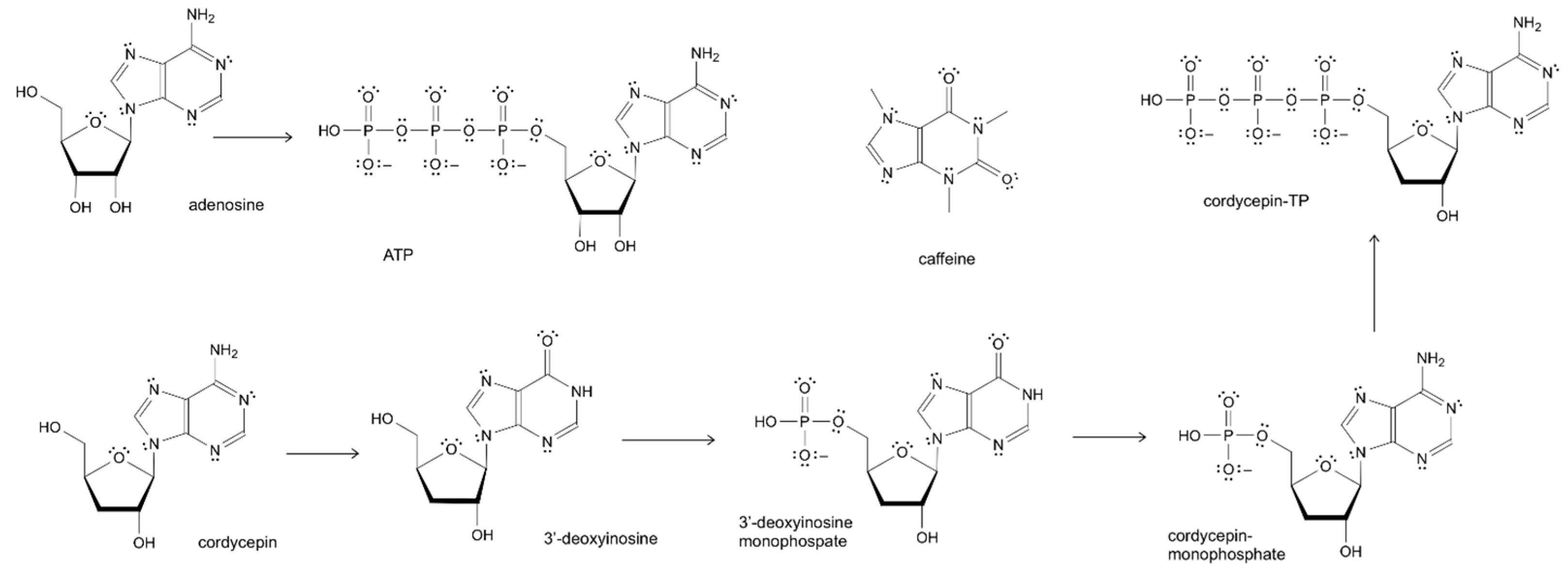 Preprints 196058 g001