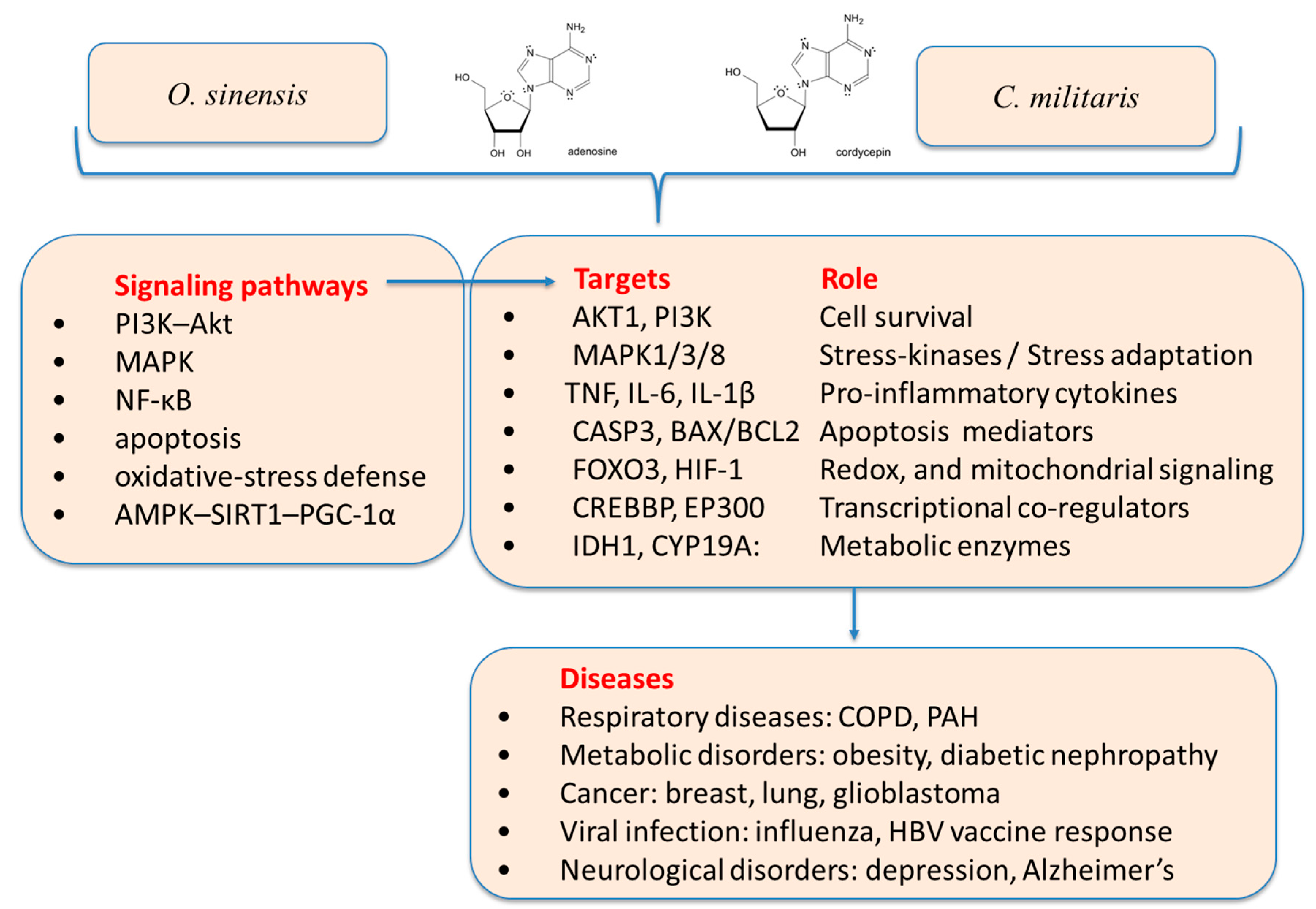 Preprints 196058 g003