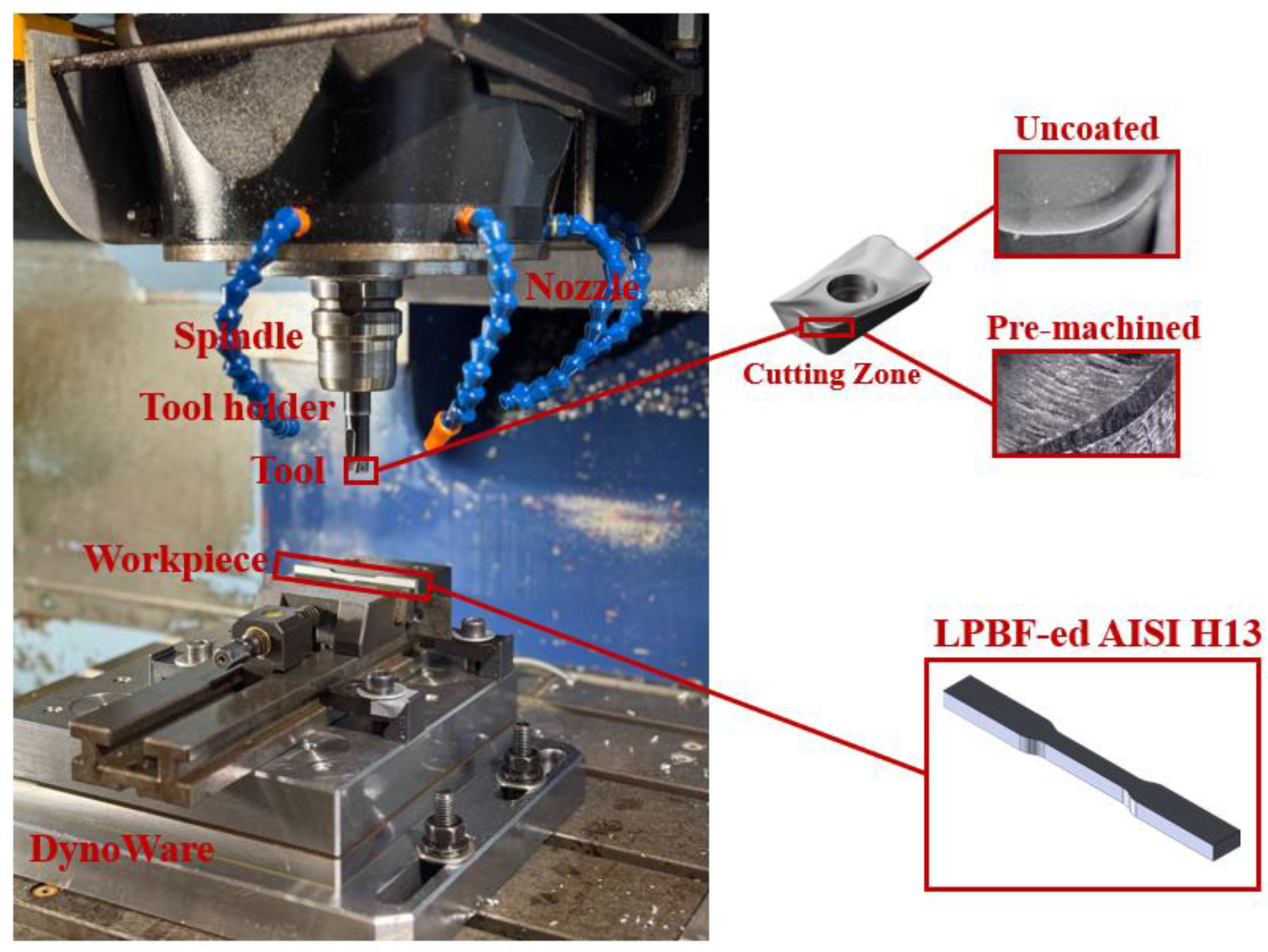 Preprints 154997 g001