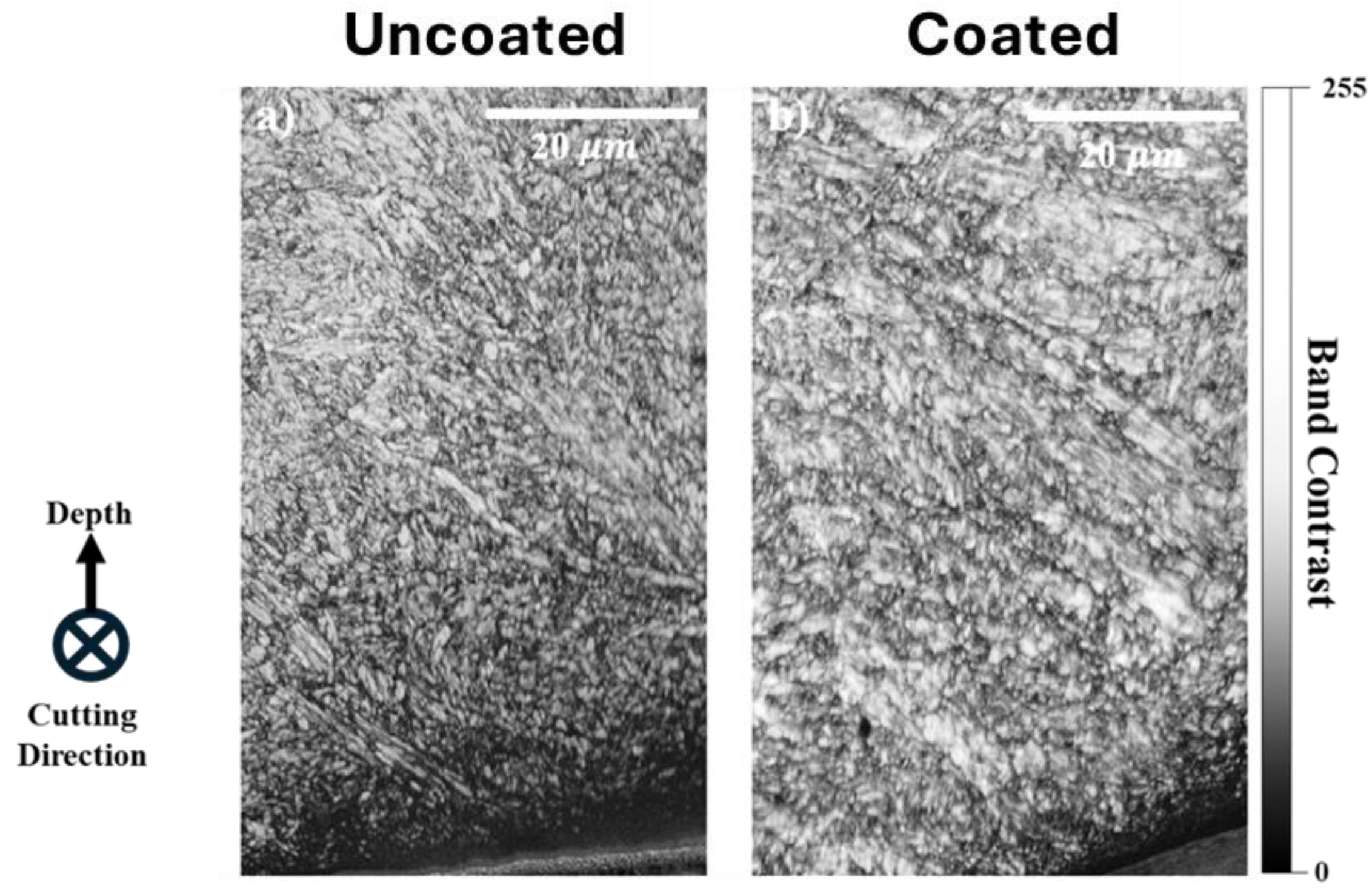Preprints 154997 g007