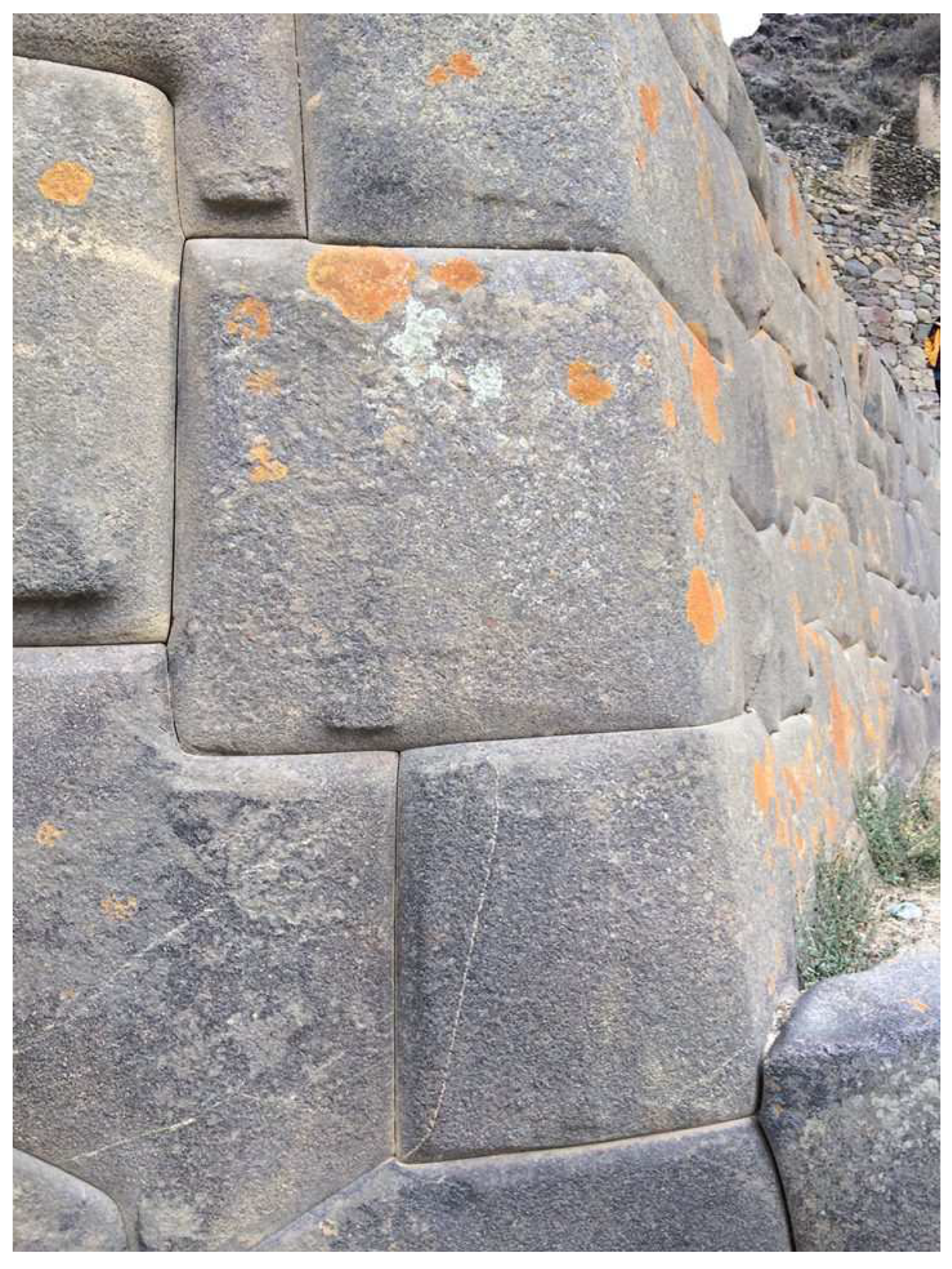 Preprints 99290 g011