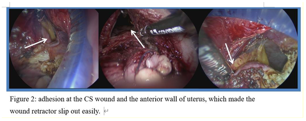 Preprints 175362 i005