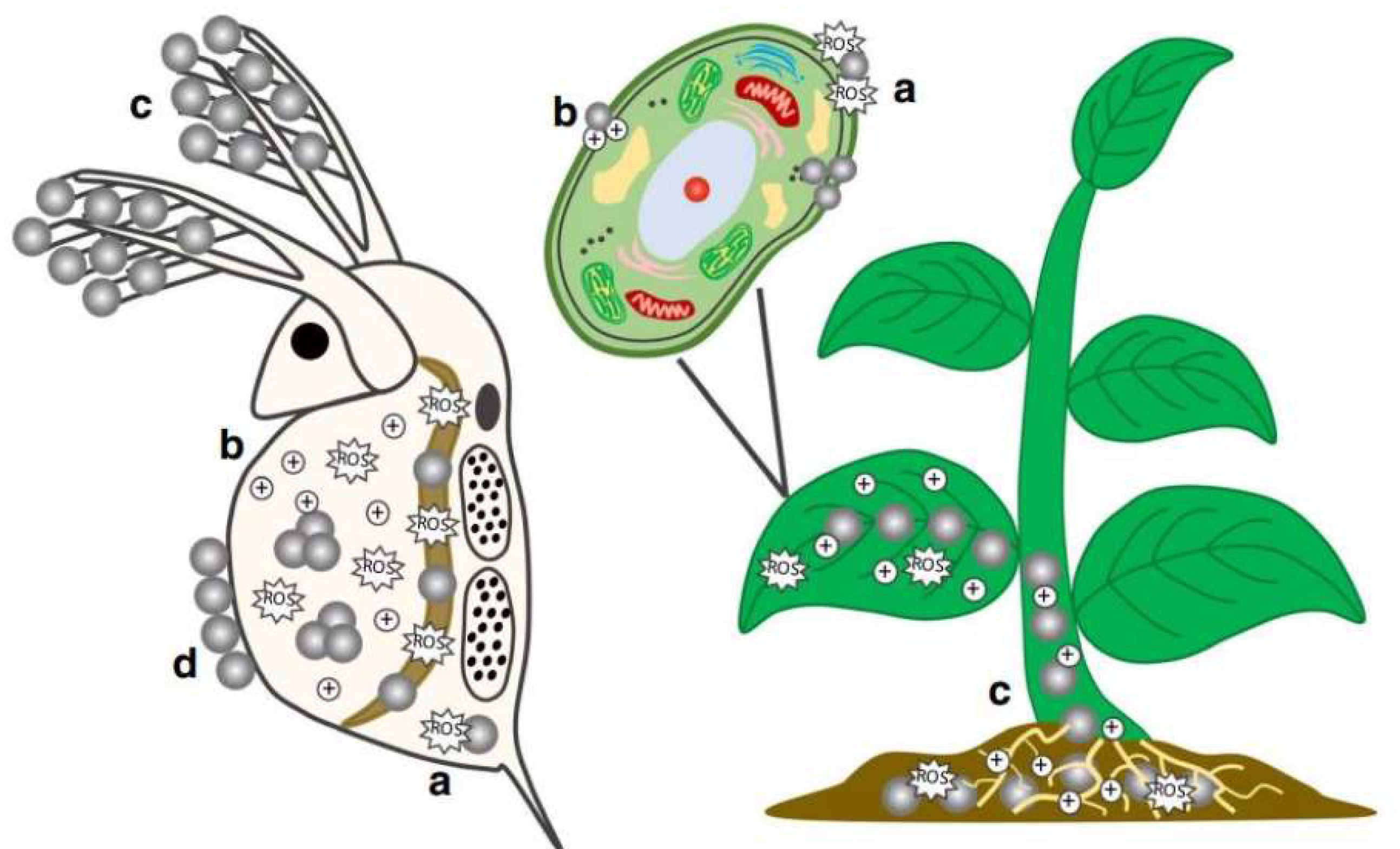 Preprints 148028 g002