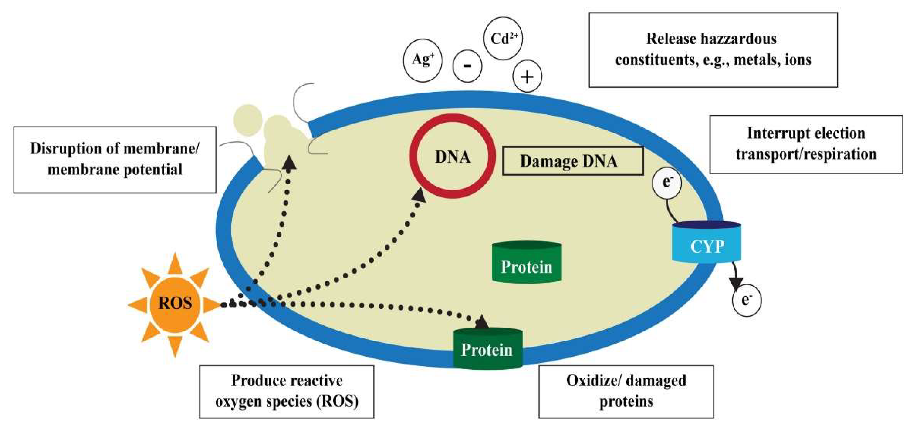 Preprints 148028 g003