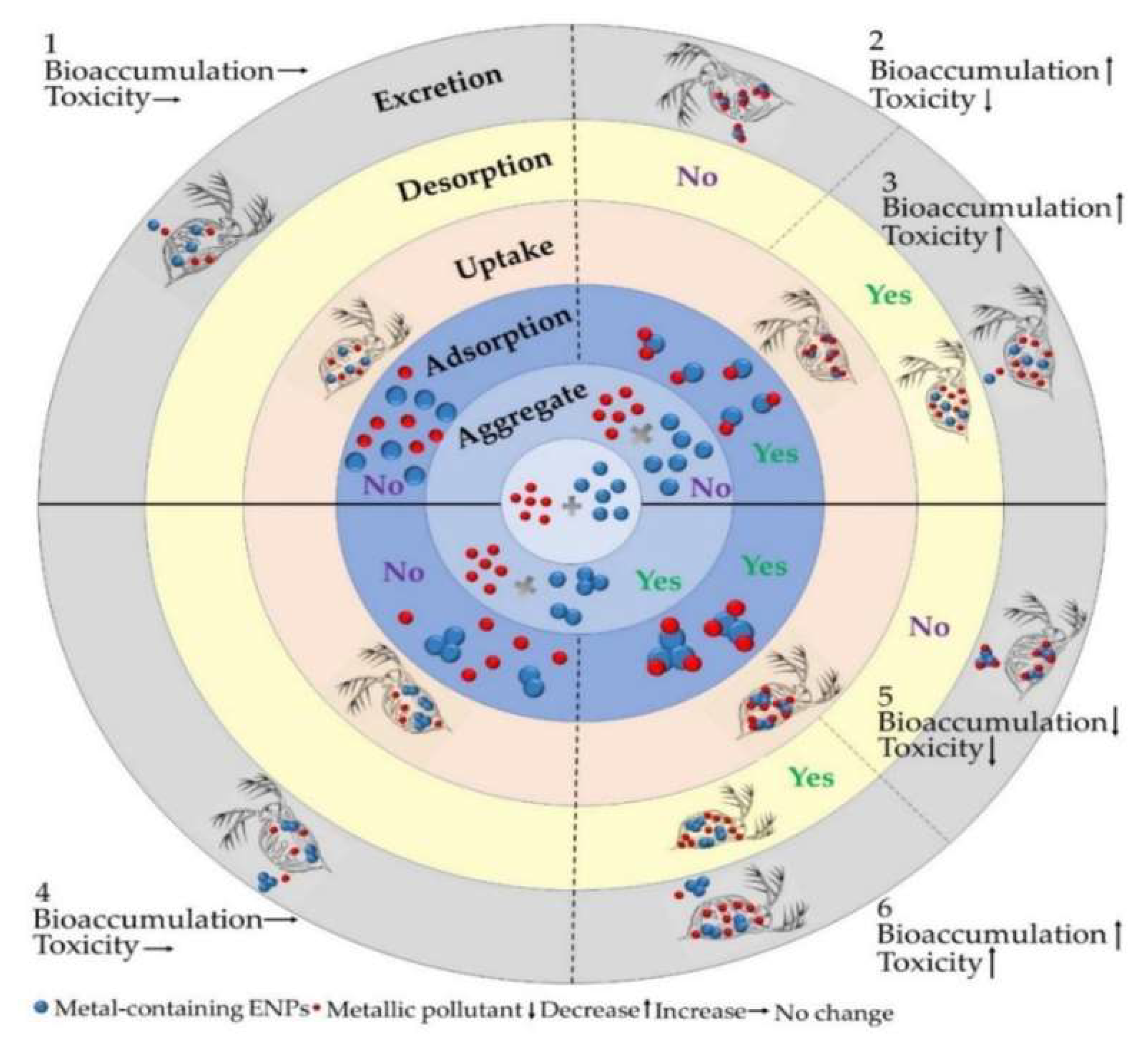 Preprints 148028 g004