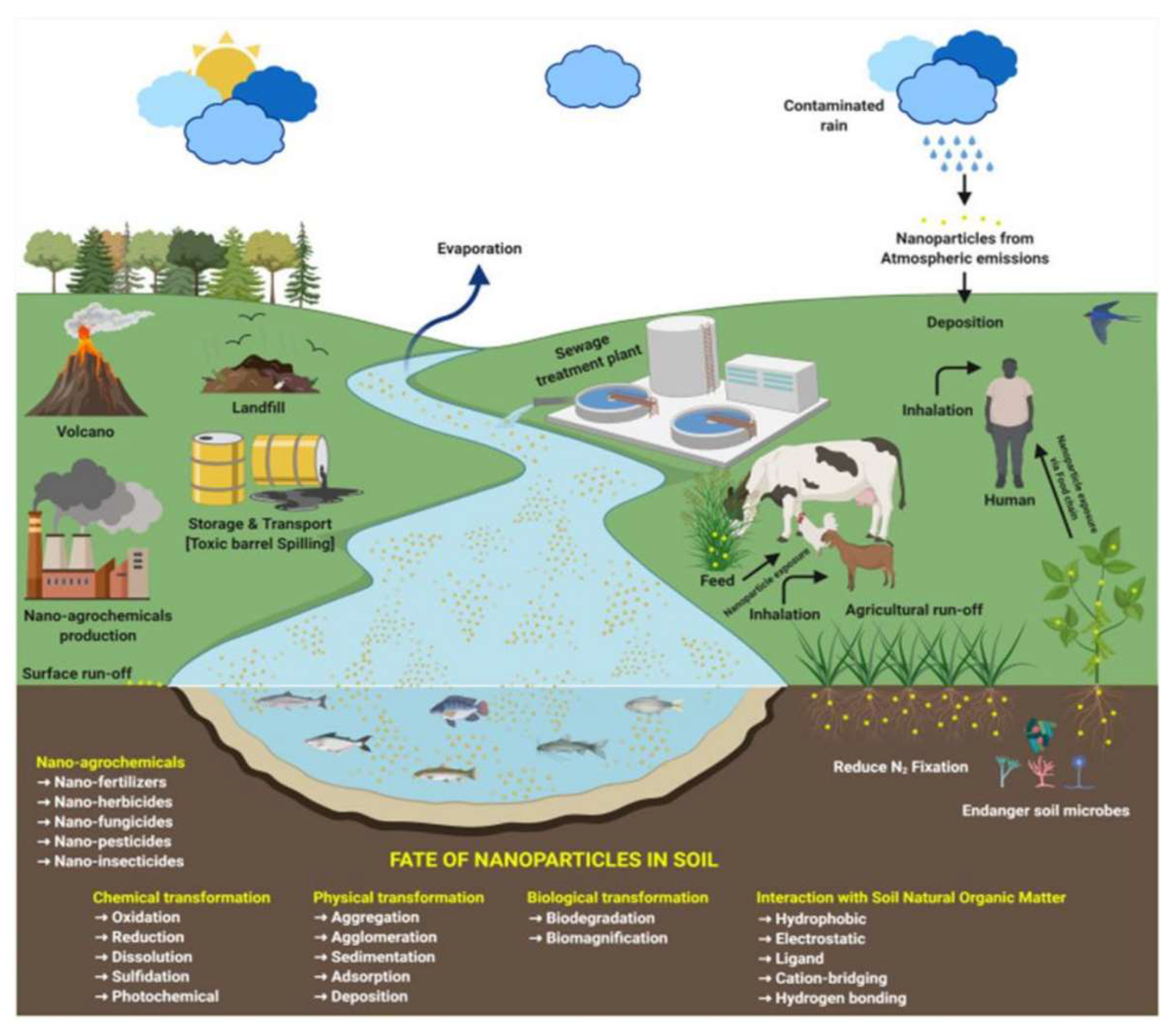 Preprints 148028 g005