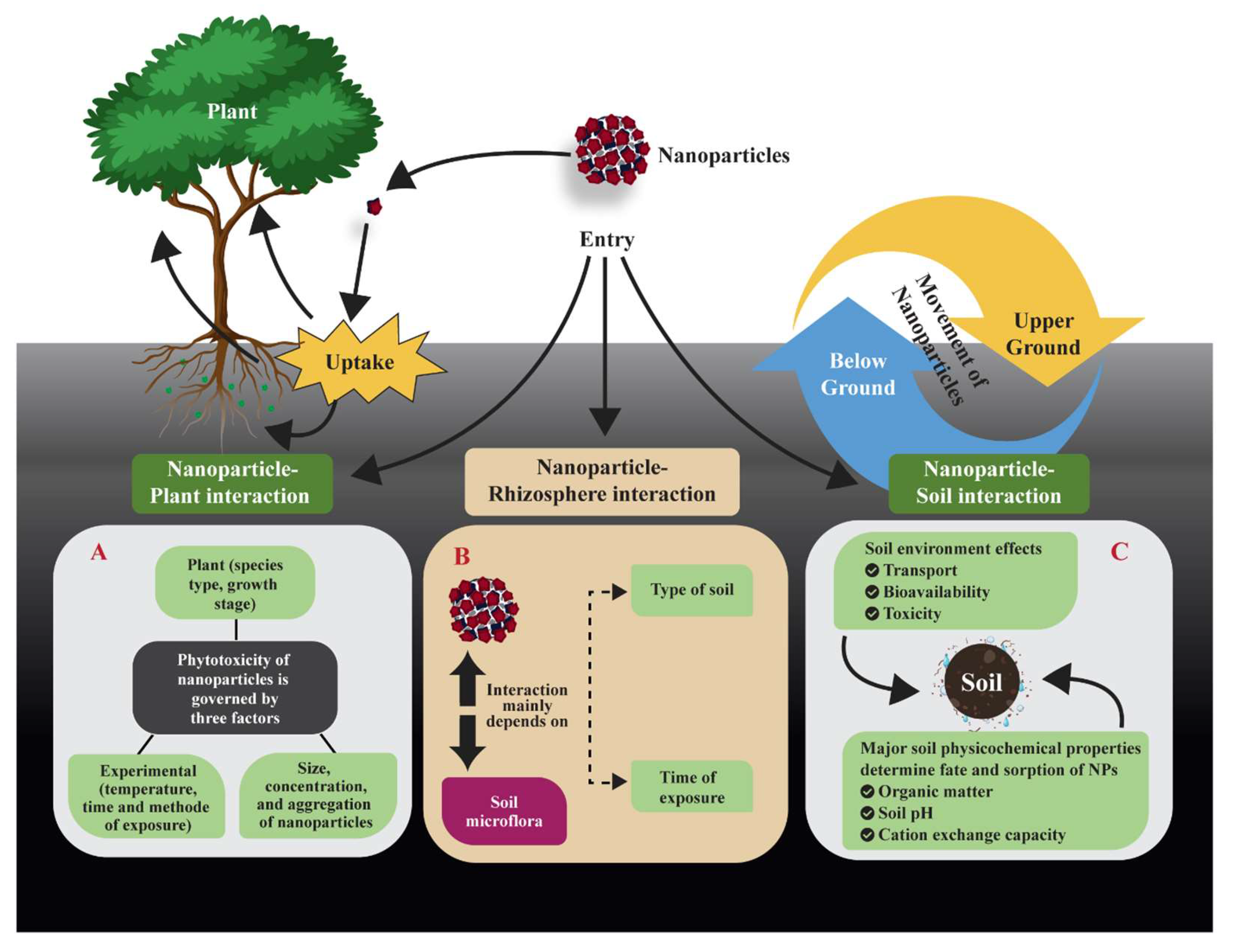 Preprints 148028 g006