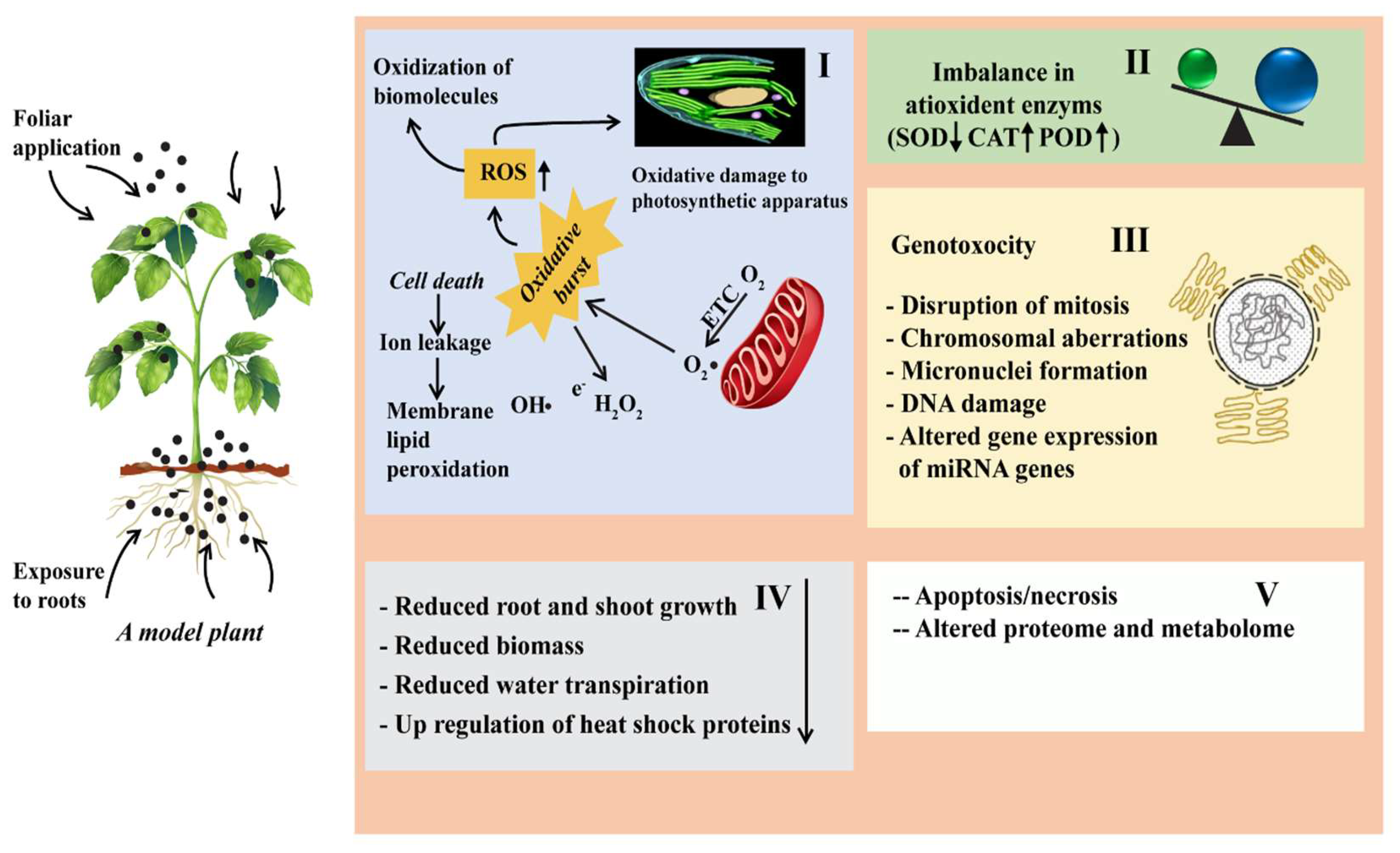Preprints 148028 g007