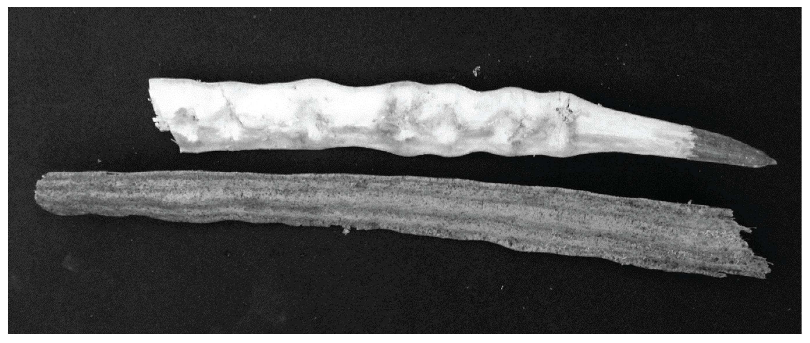 Preprints 165871 g001