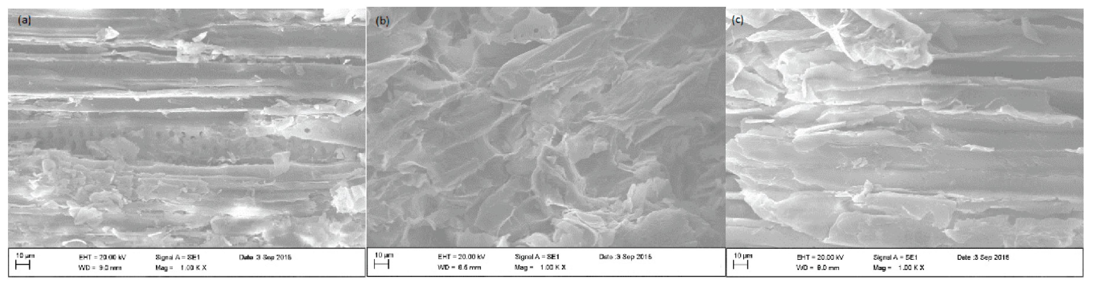 Preprints 165871 g002
