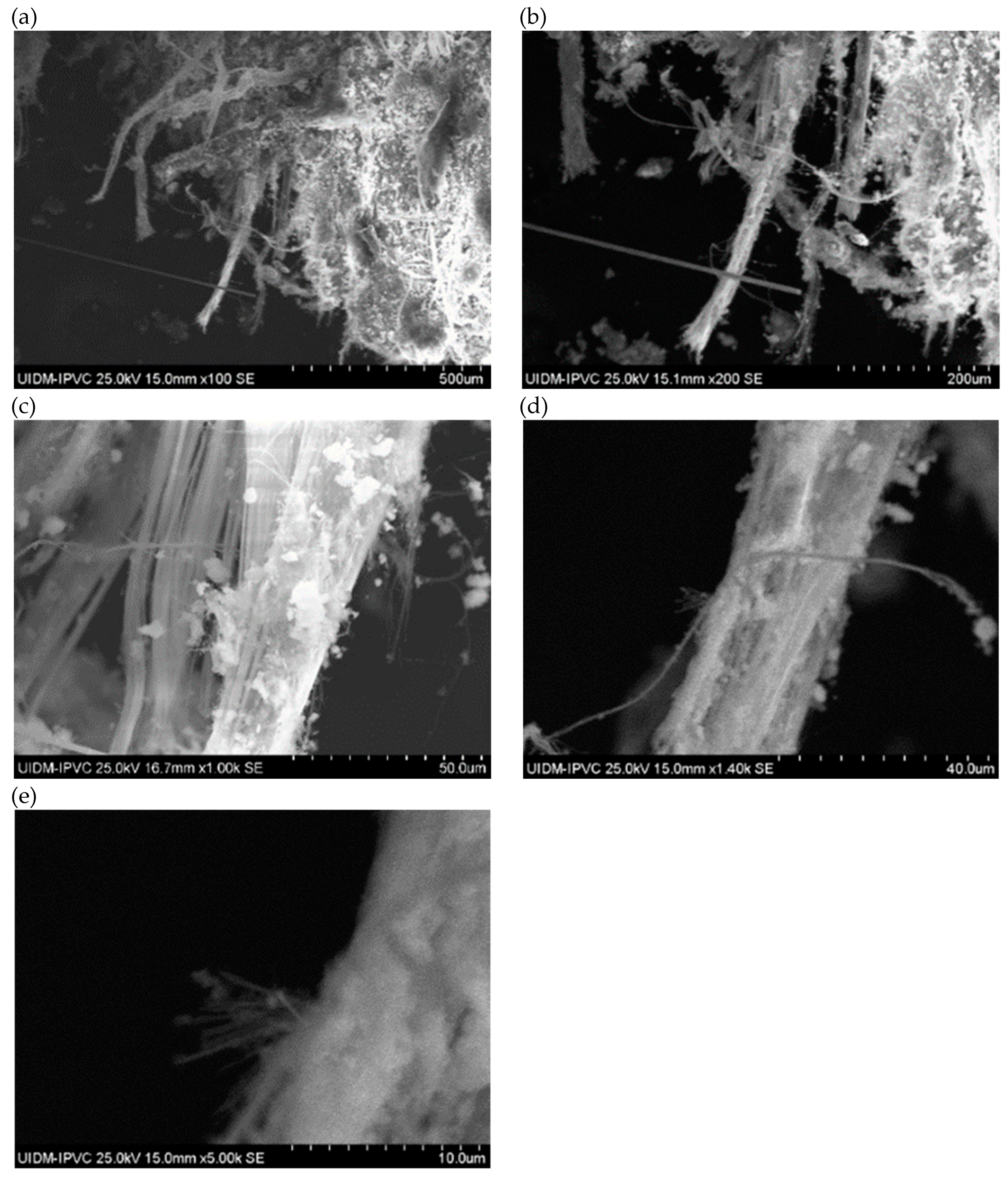 Preprints 150049 g001