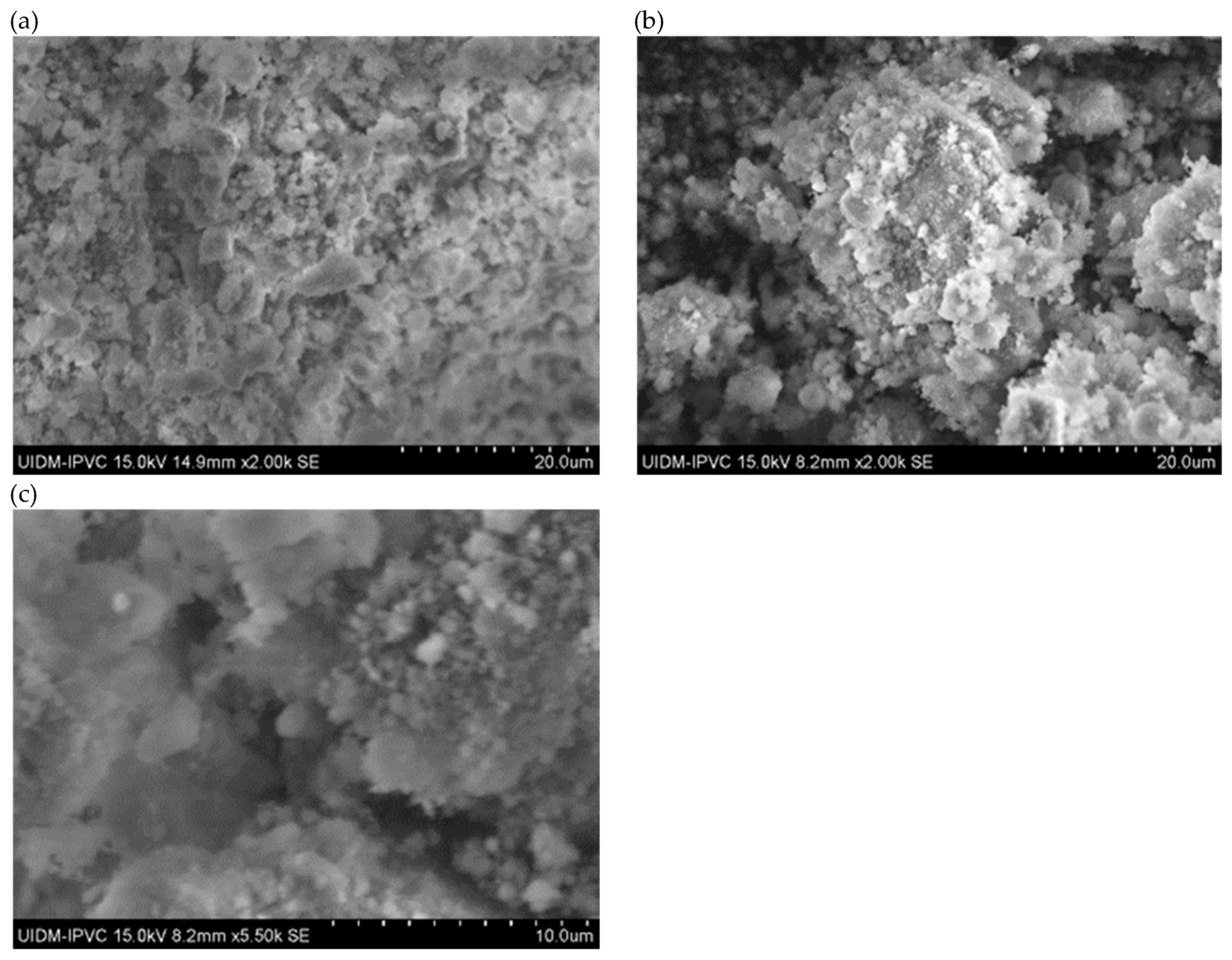 Preprints 150049 g002