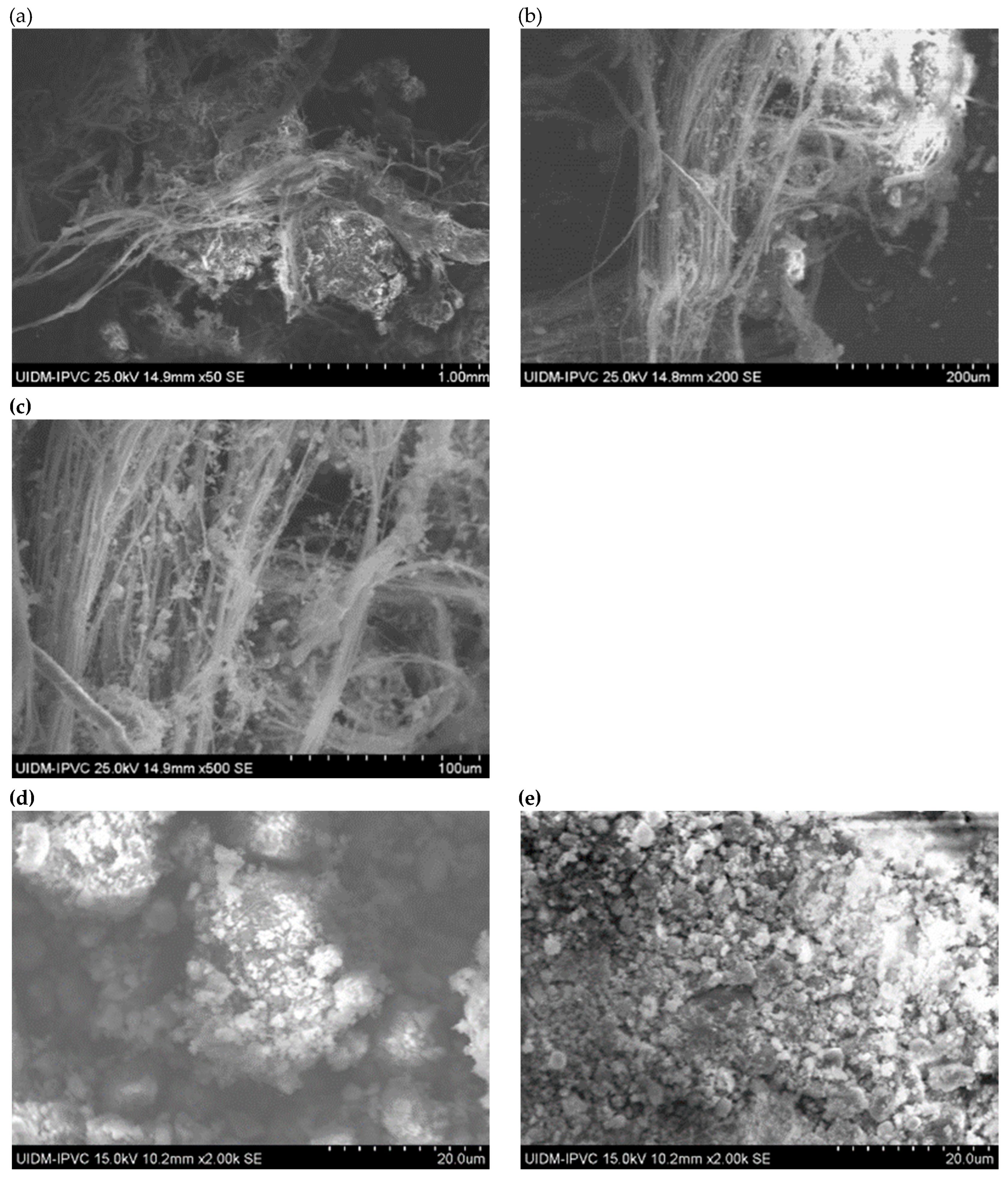 Preprints 150049 g003