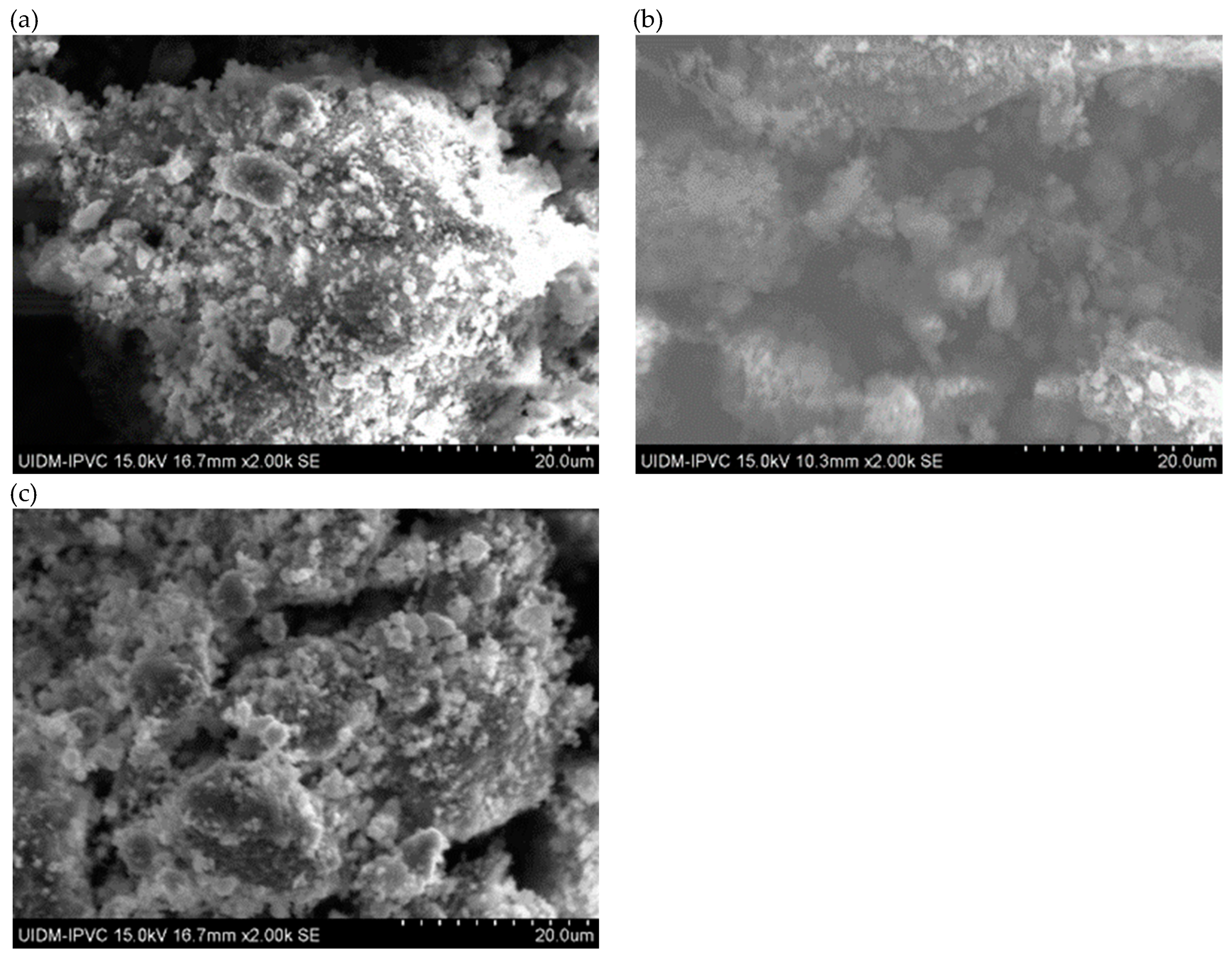 Preprints 150049 g005
