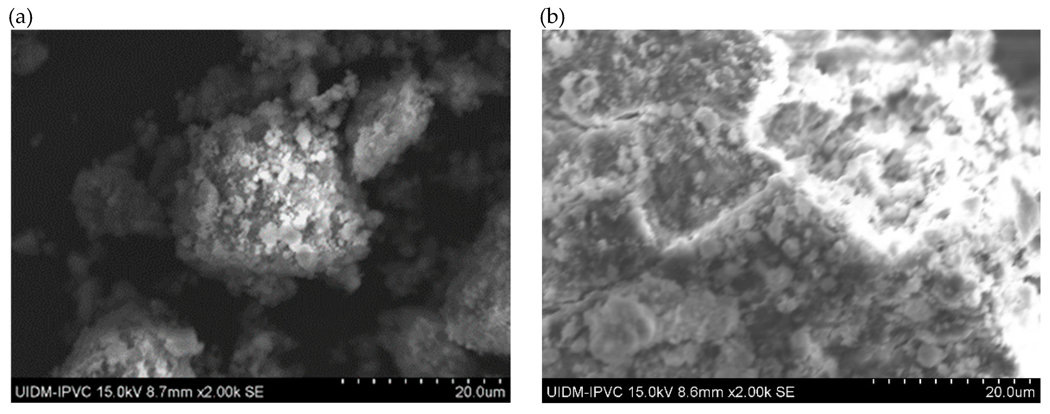 Preprints 150049 g007