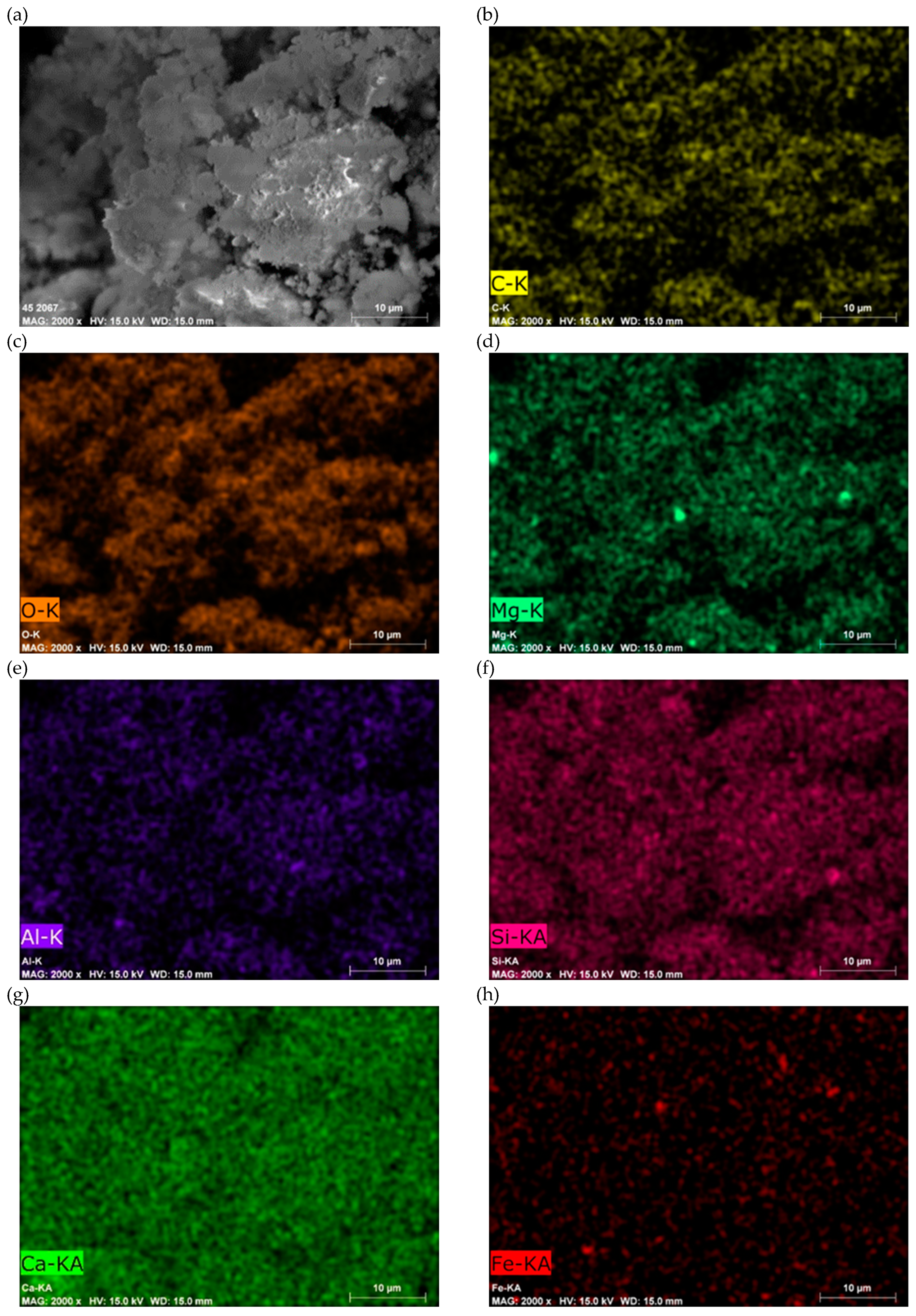 Preprints 150049 g009