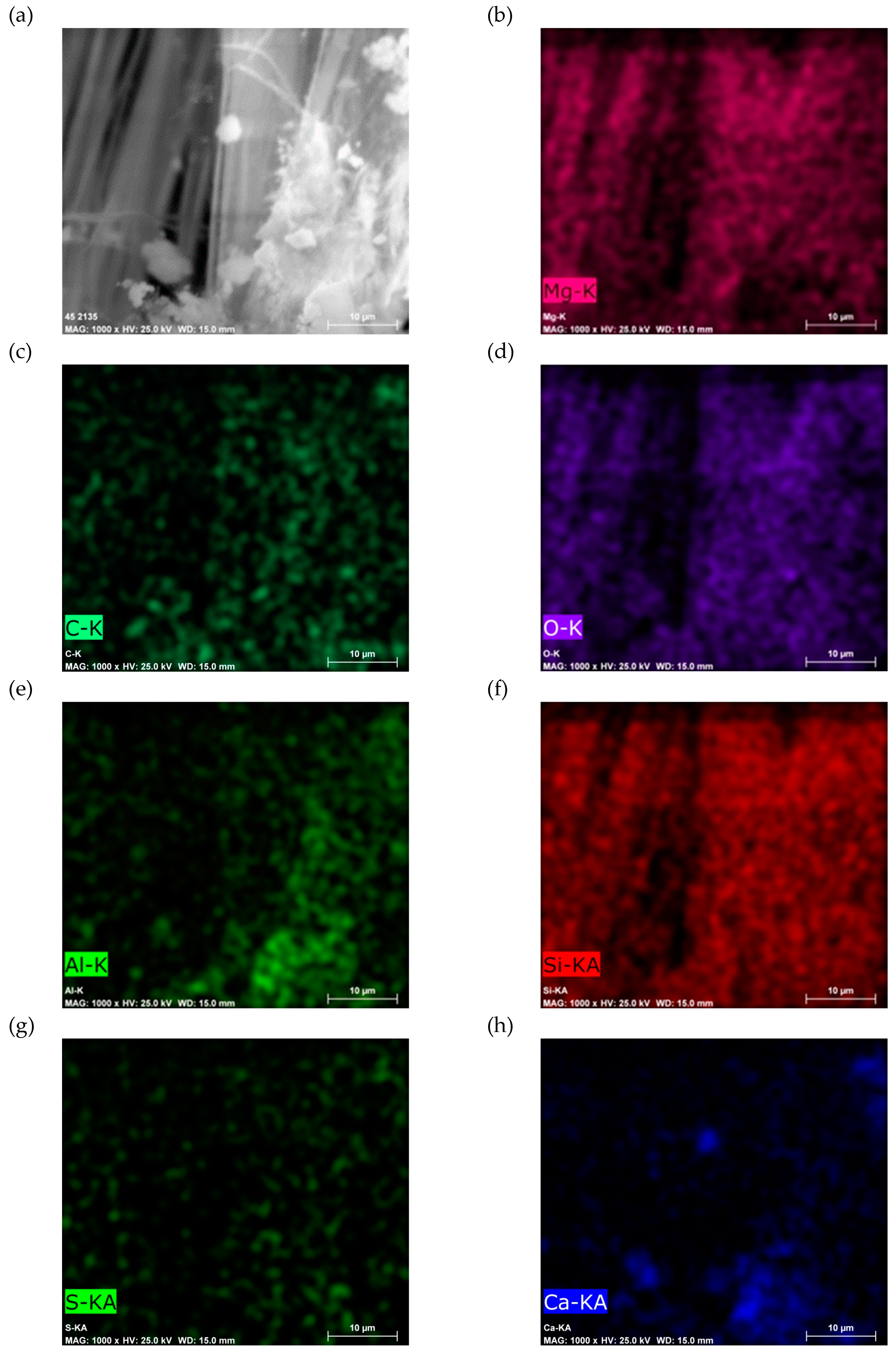 Preprints 150049 g011a