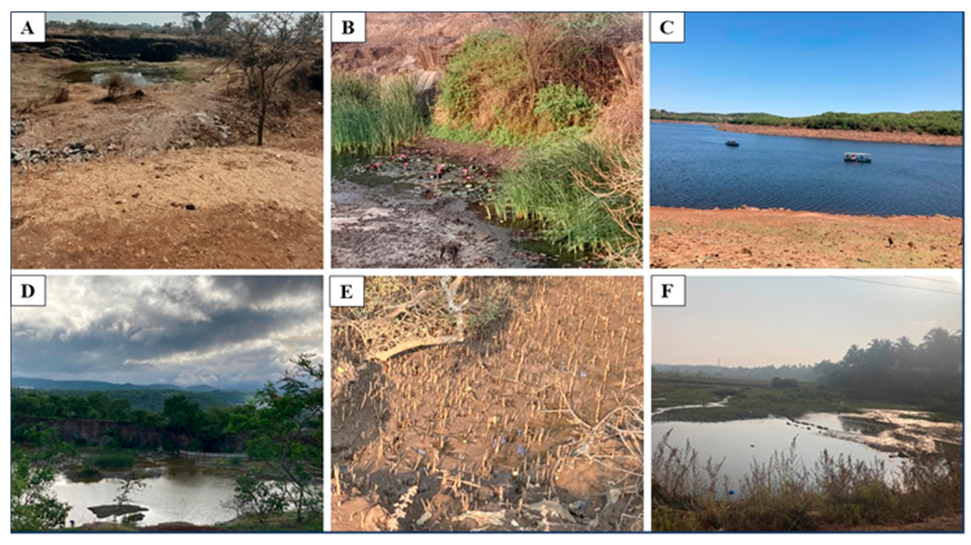 Preprints 159465 g001