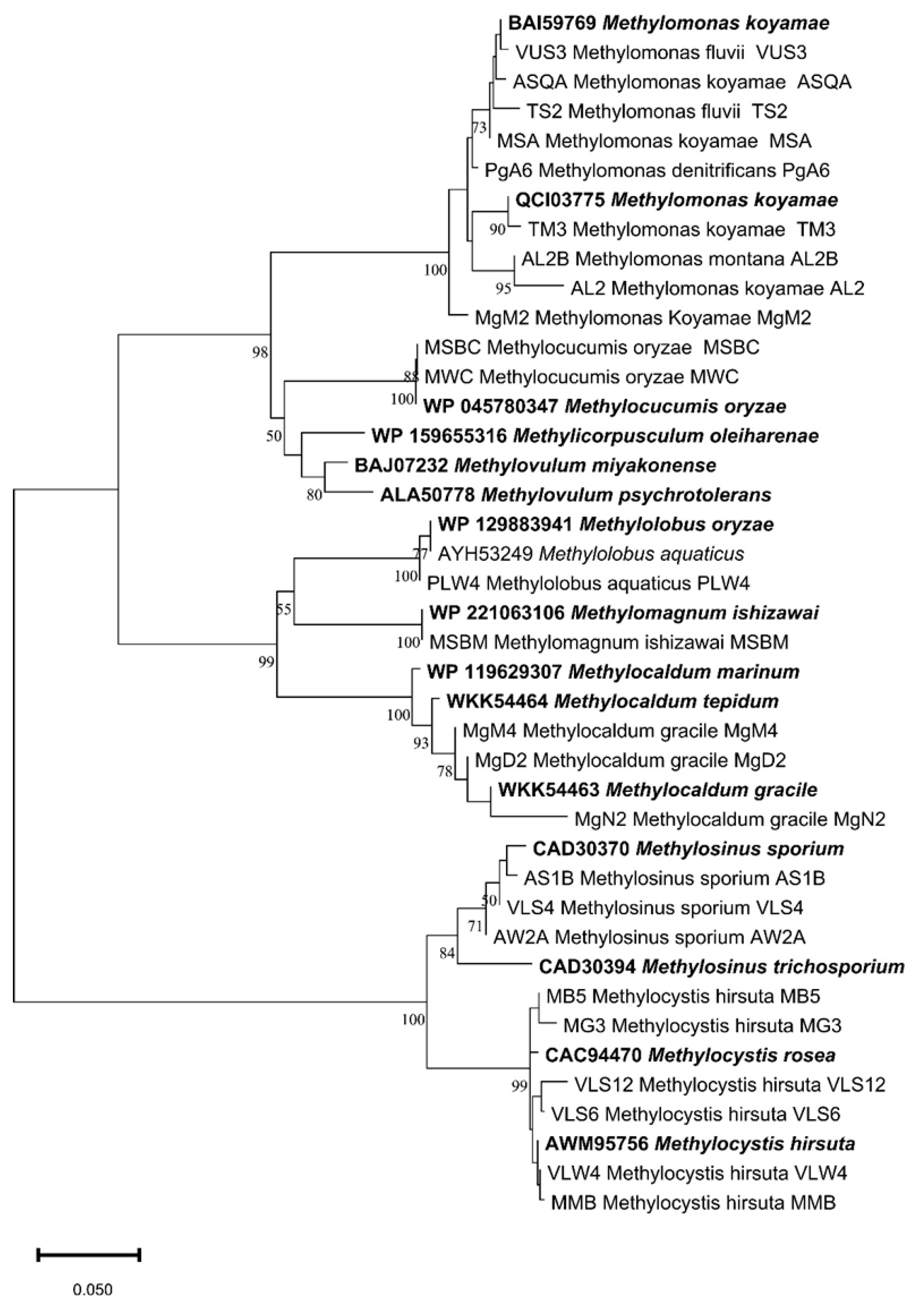 Preprints 159465 g003
