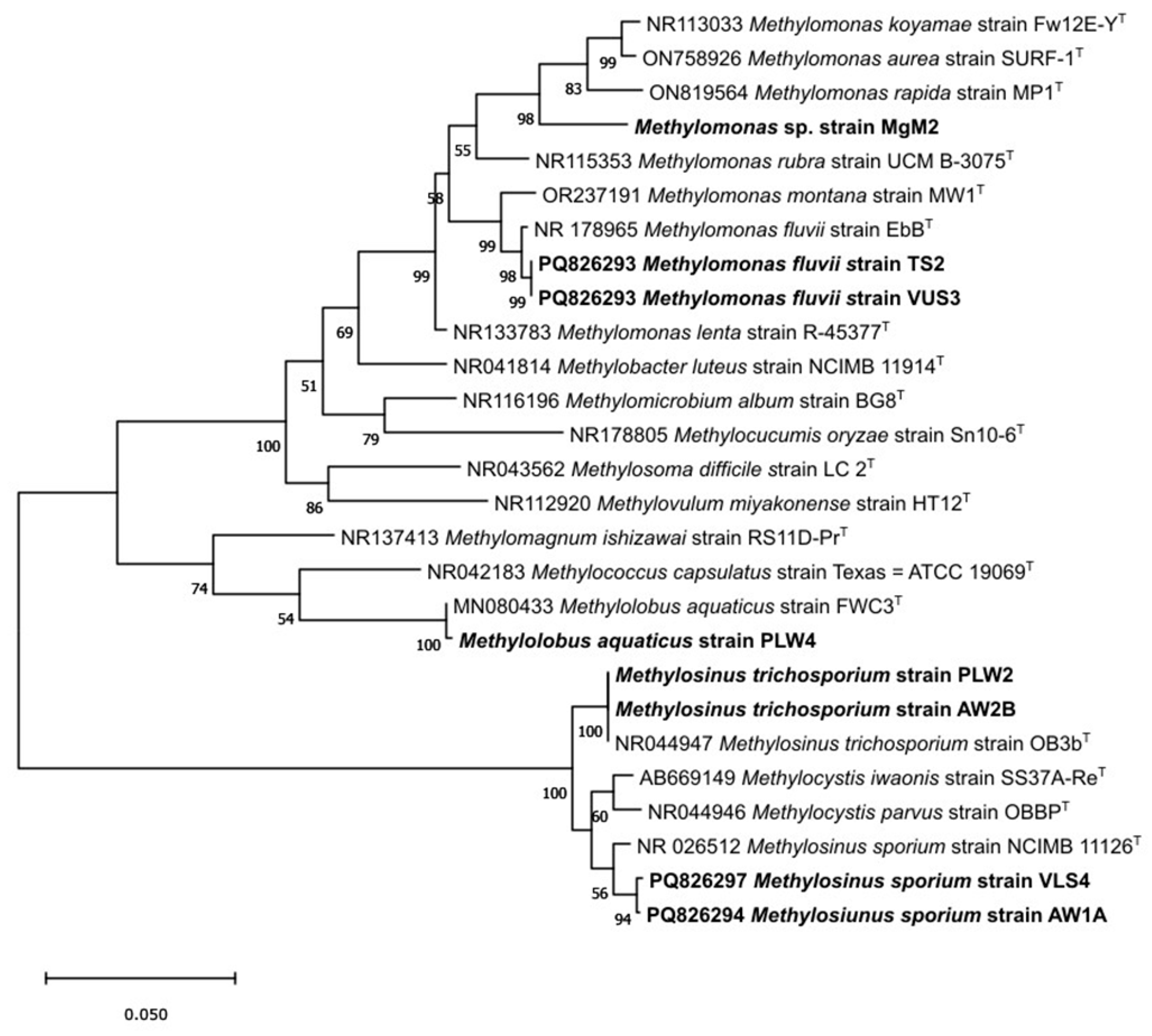 Preprints 159465 g004