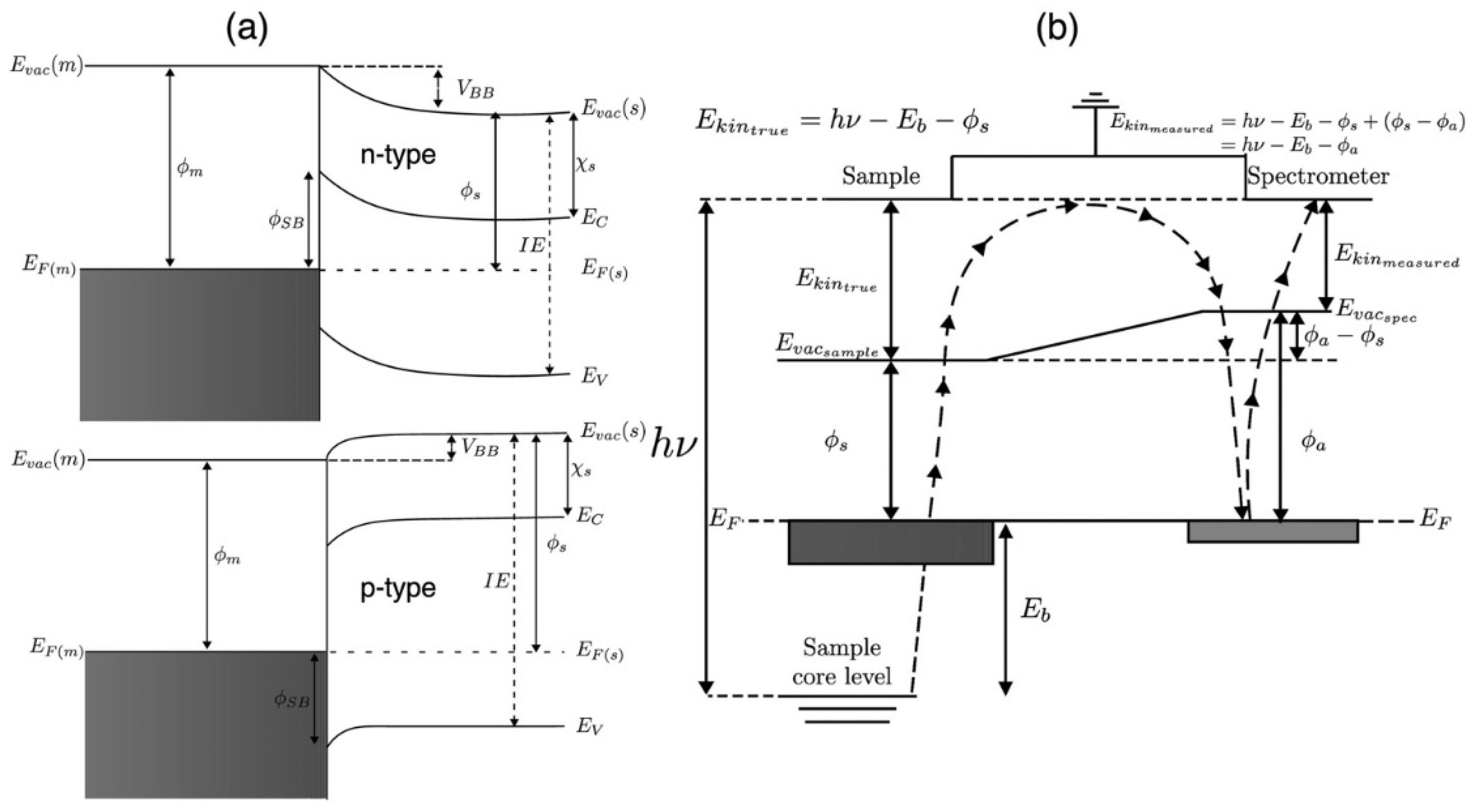 Preprints 148954 g001