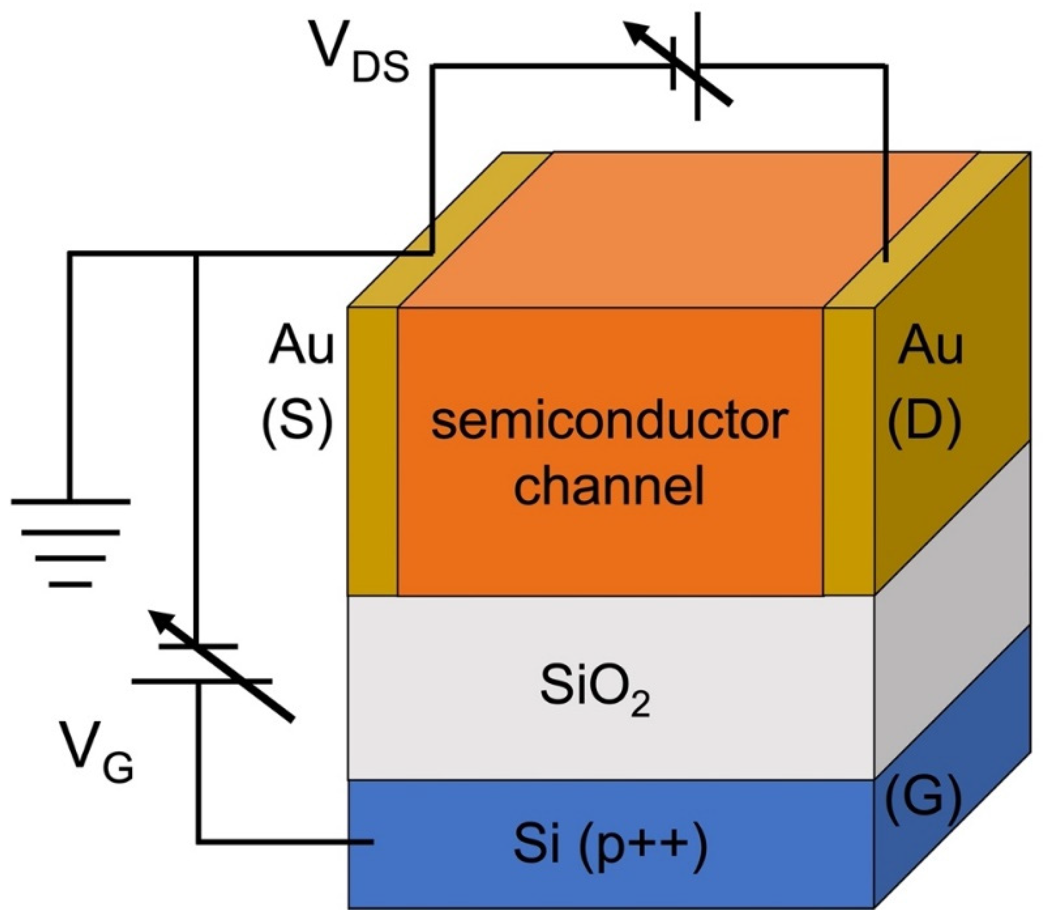 Preprints 148954 g002