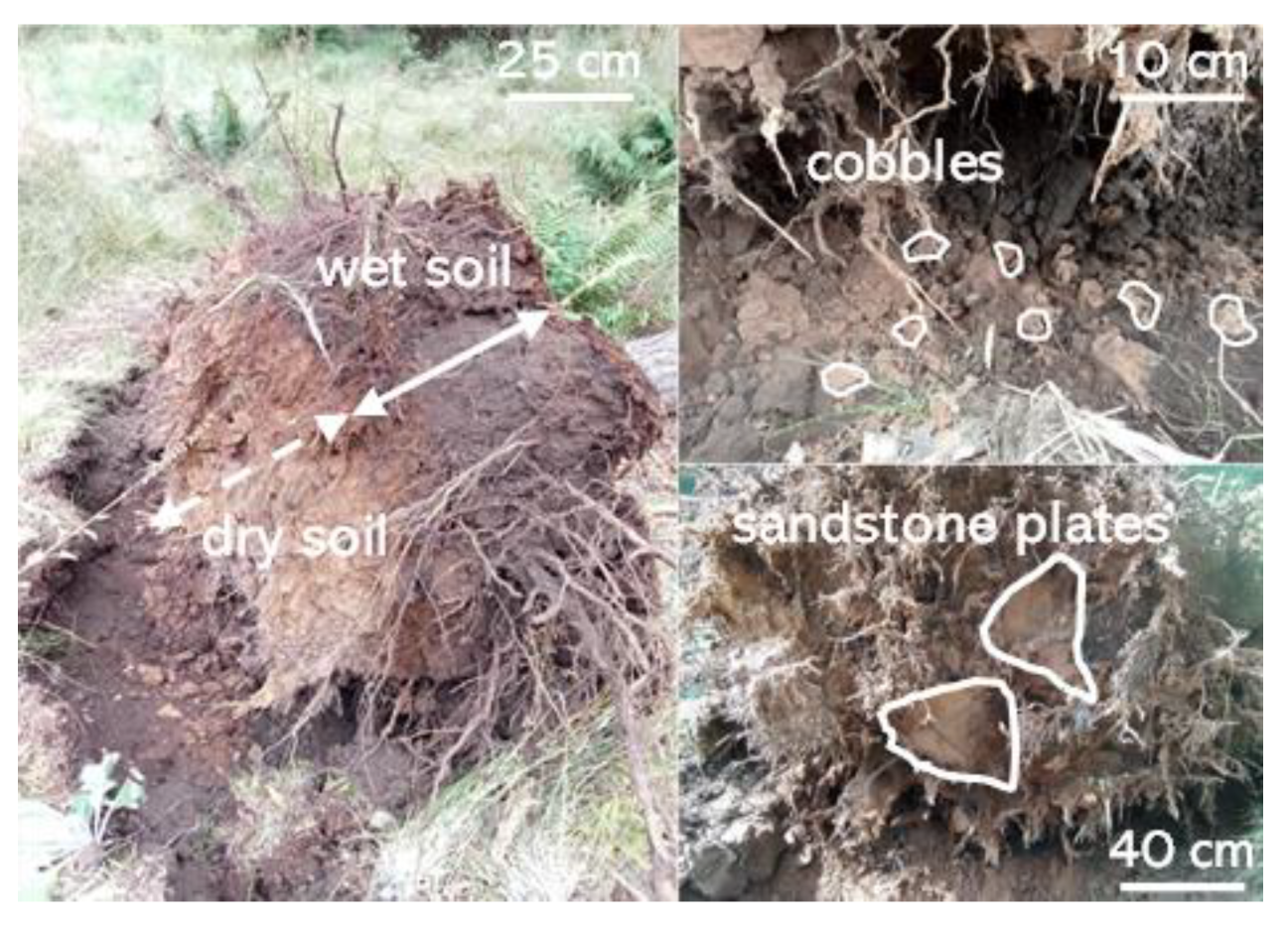 Preprints 179988 g004