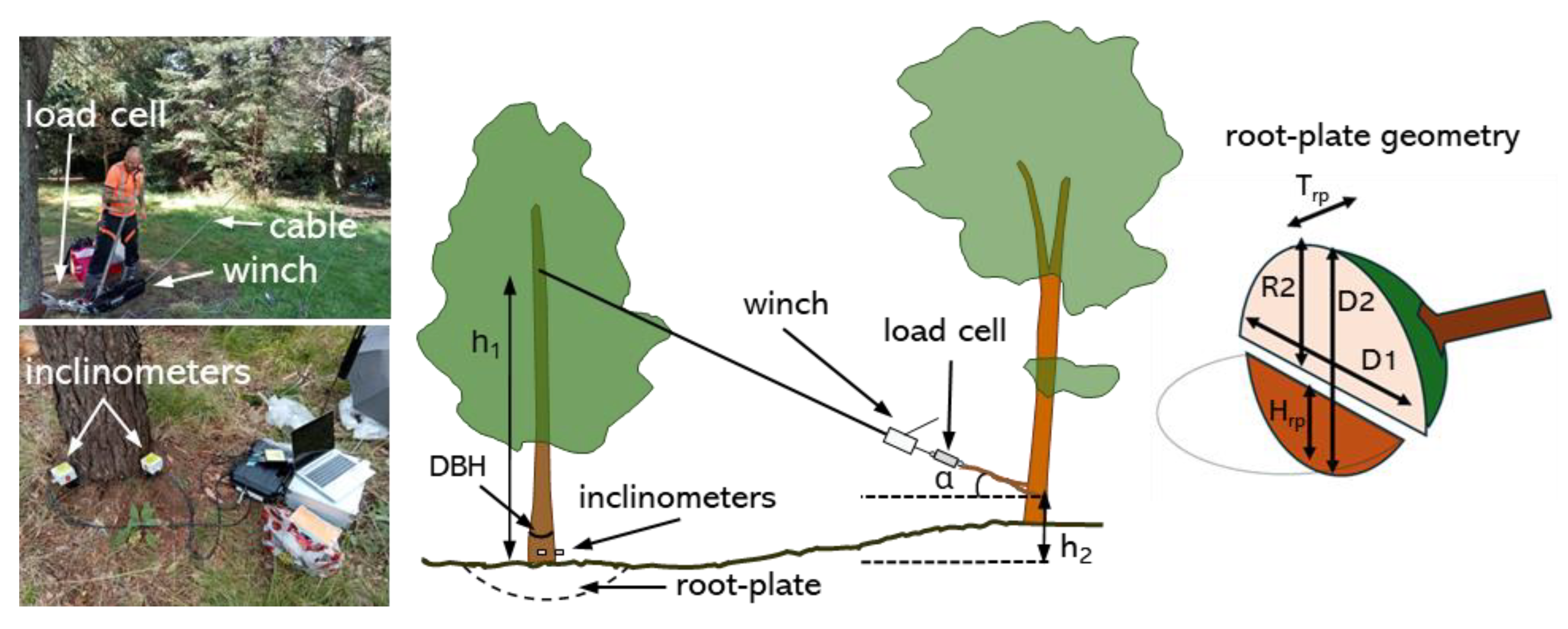 Preprints 179988 g010