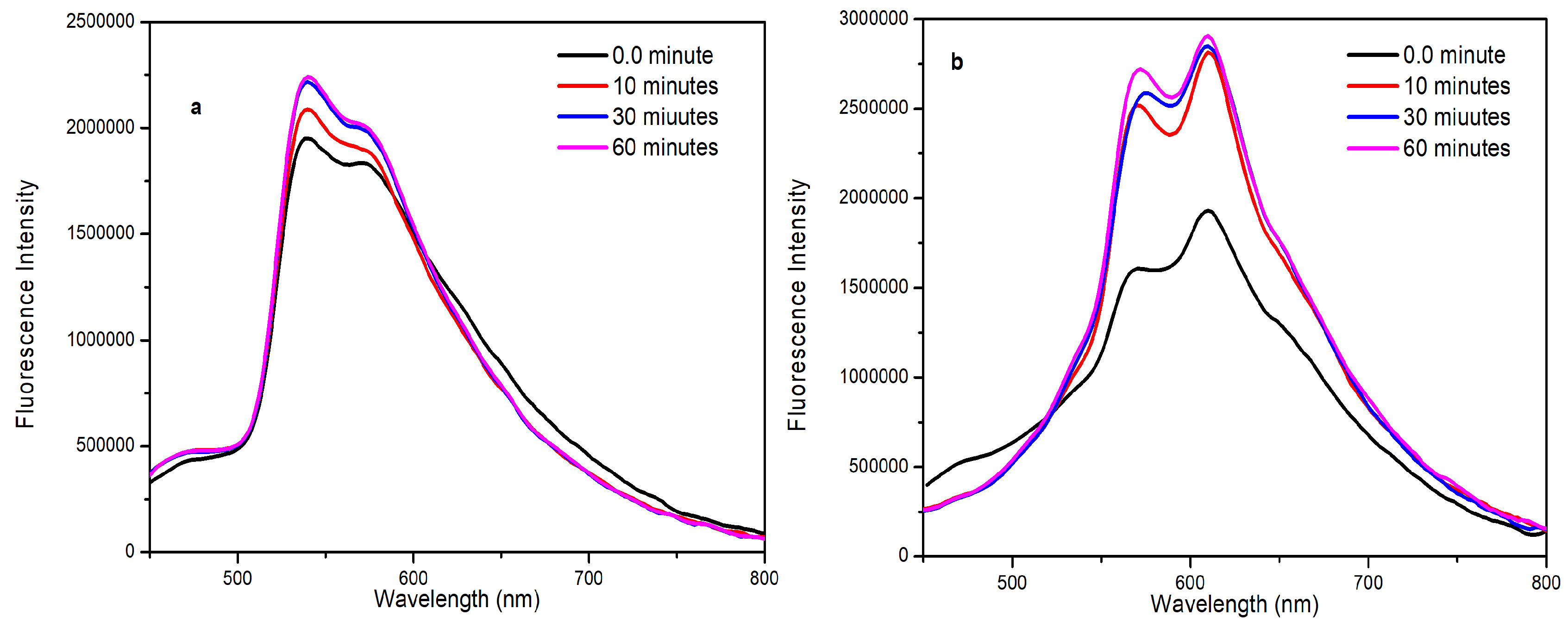 Preprints 120477 g008