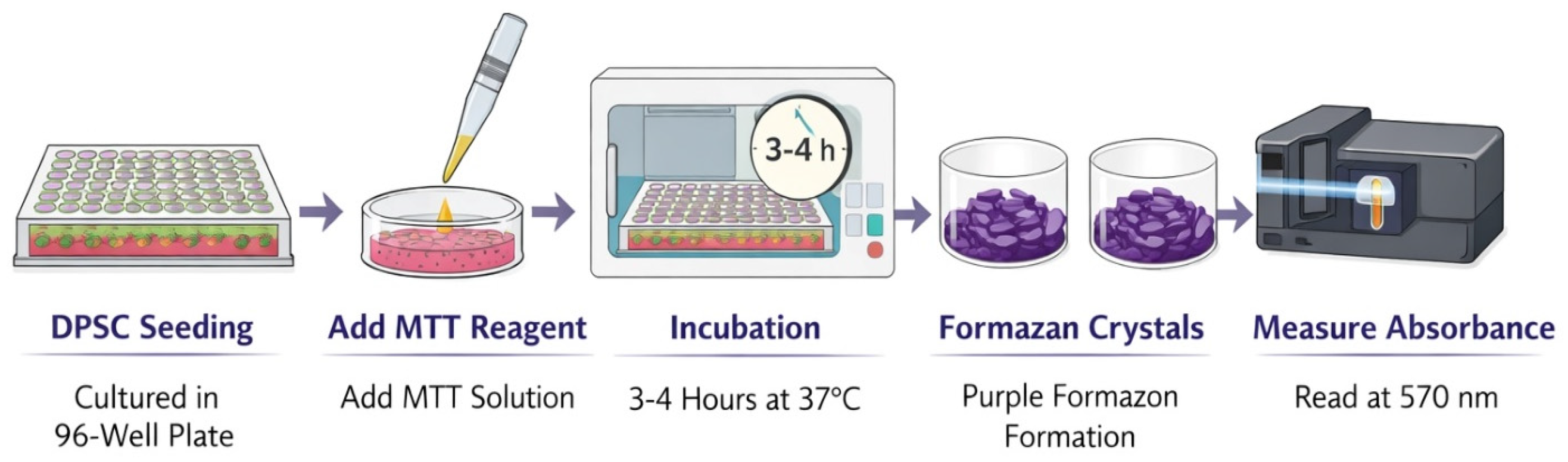 Preprints 214394 g002 Preprints 214394 g002